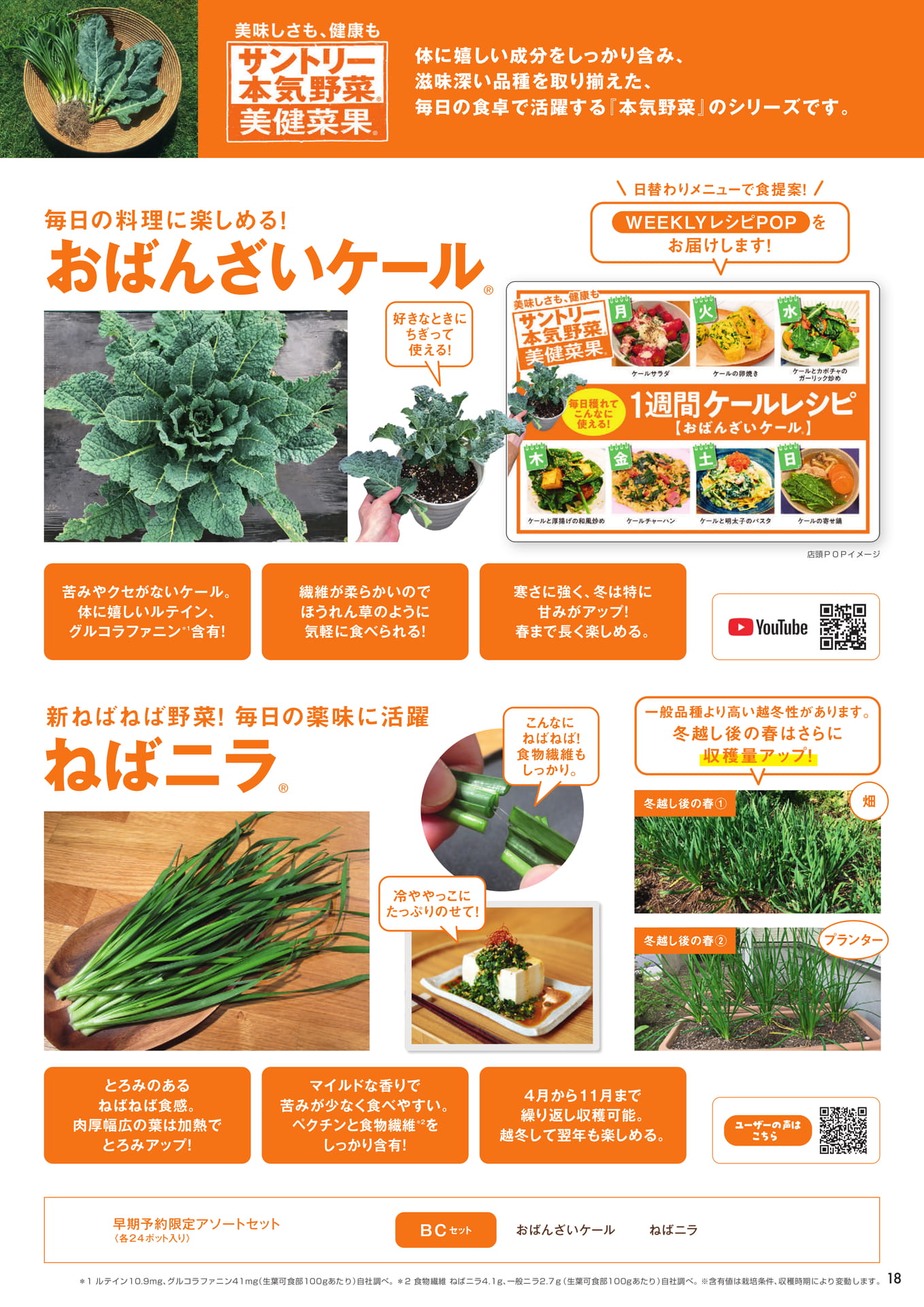 本気野菜美健菜果(19ページ目)