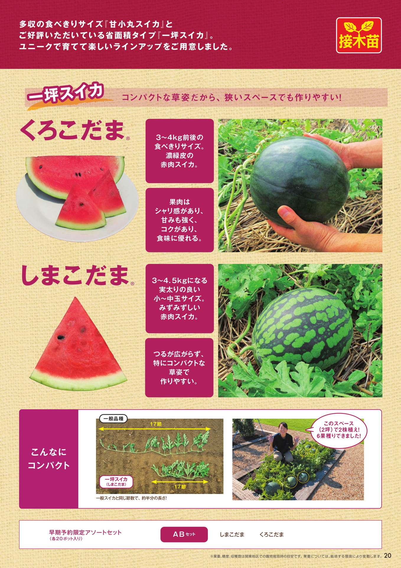 本気野菜スイカ(2/2)(21ページ目)