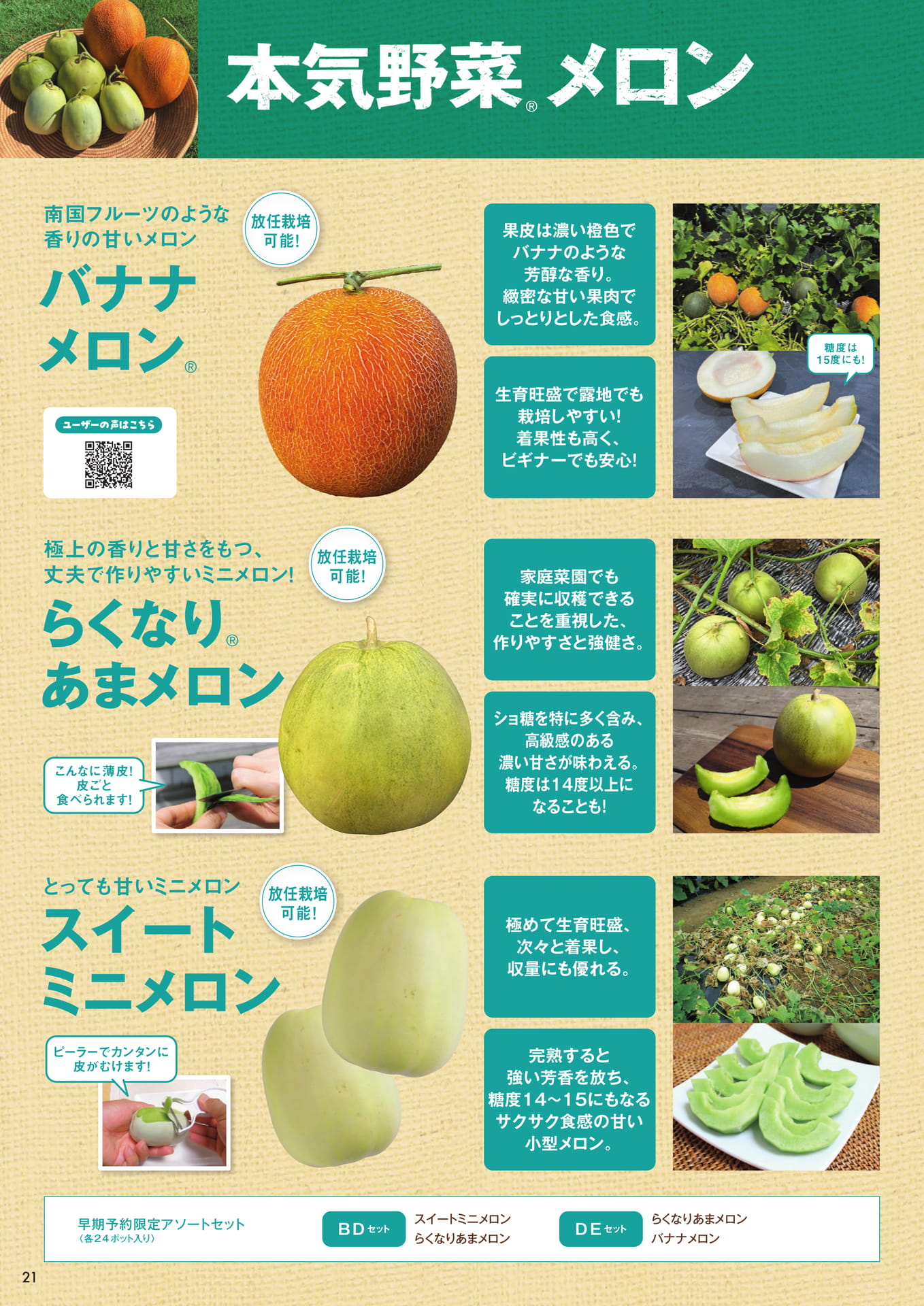 本気野菜メロン(1/2)(22ページ目)