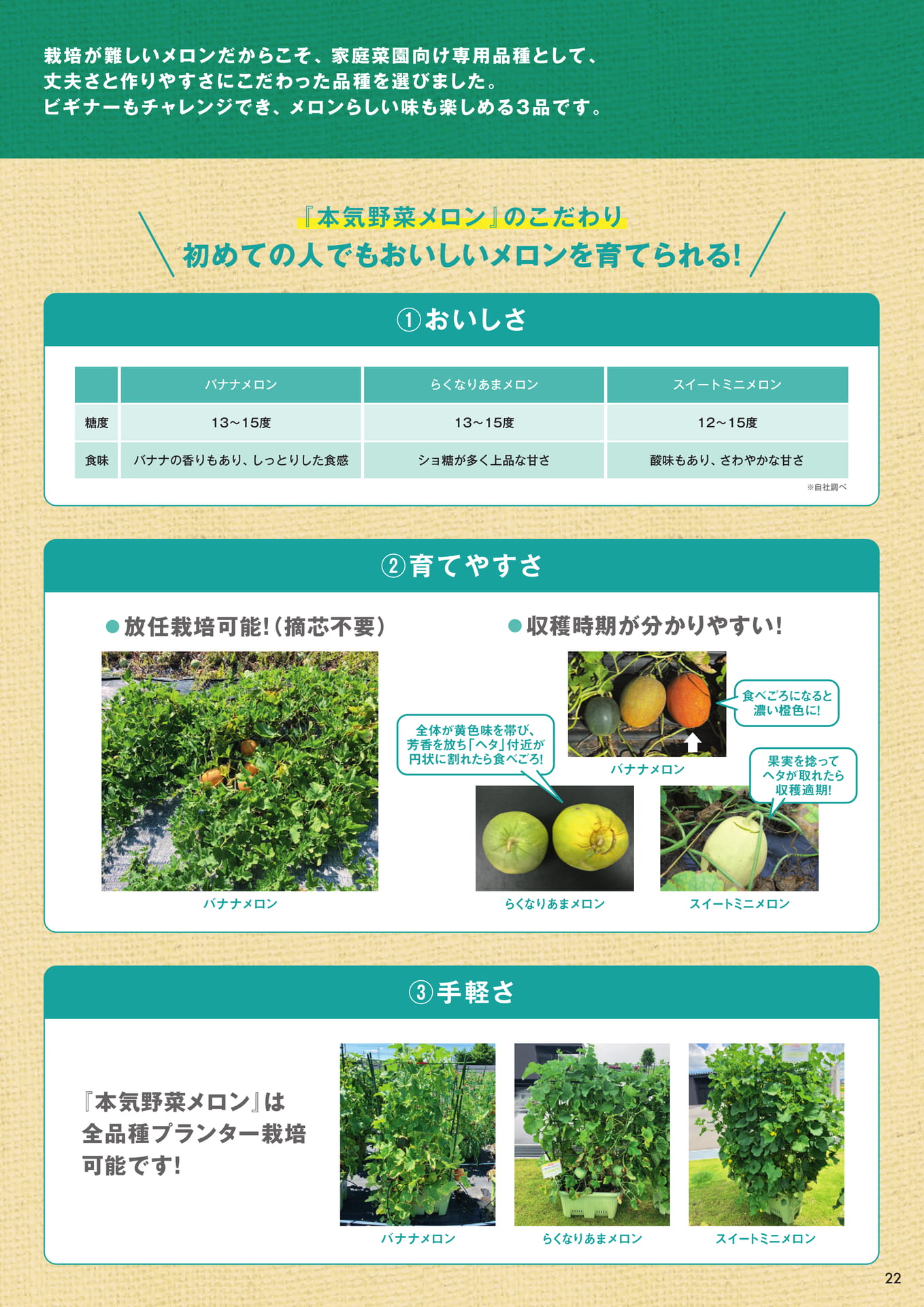 本気野菜メロン(2/2)(23ページ目)