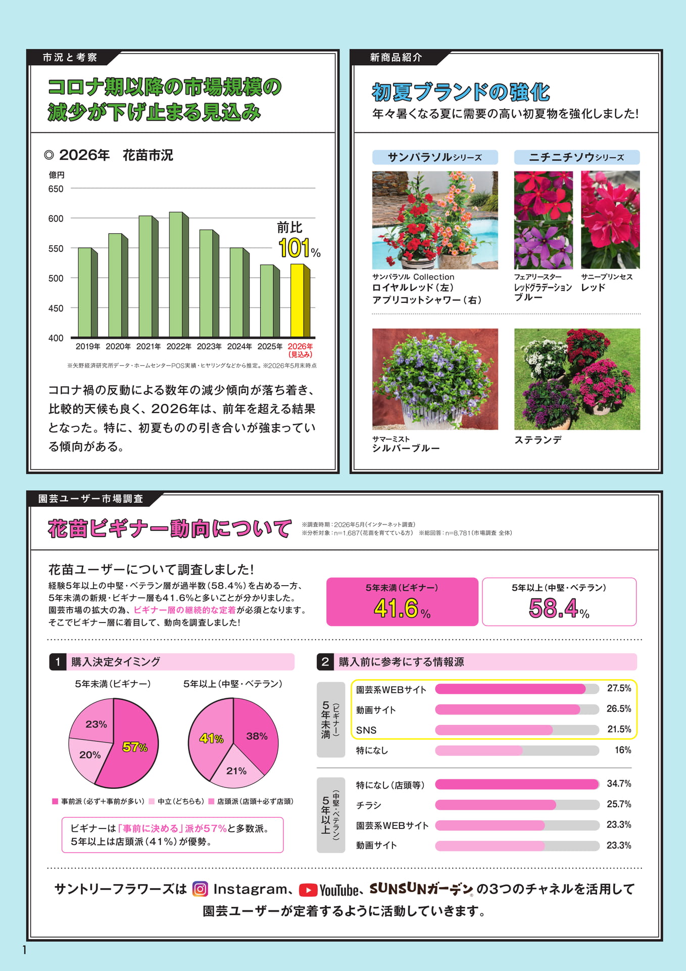 市場調査(2ページ目)