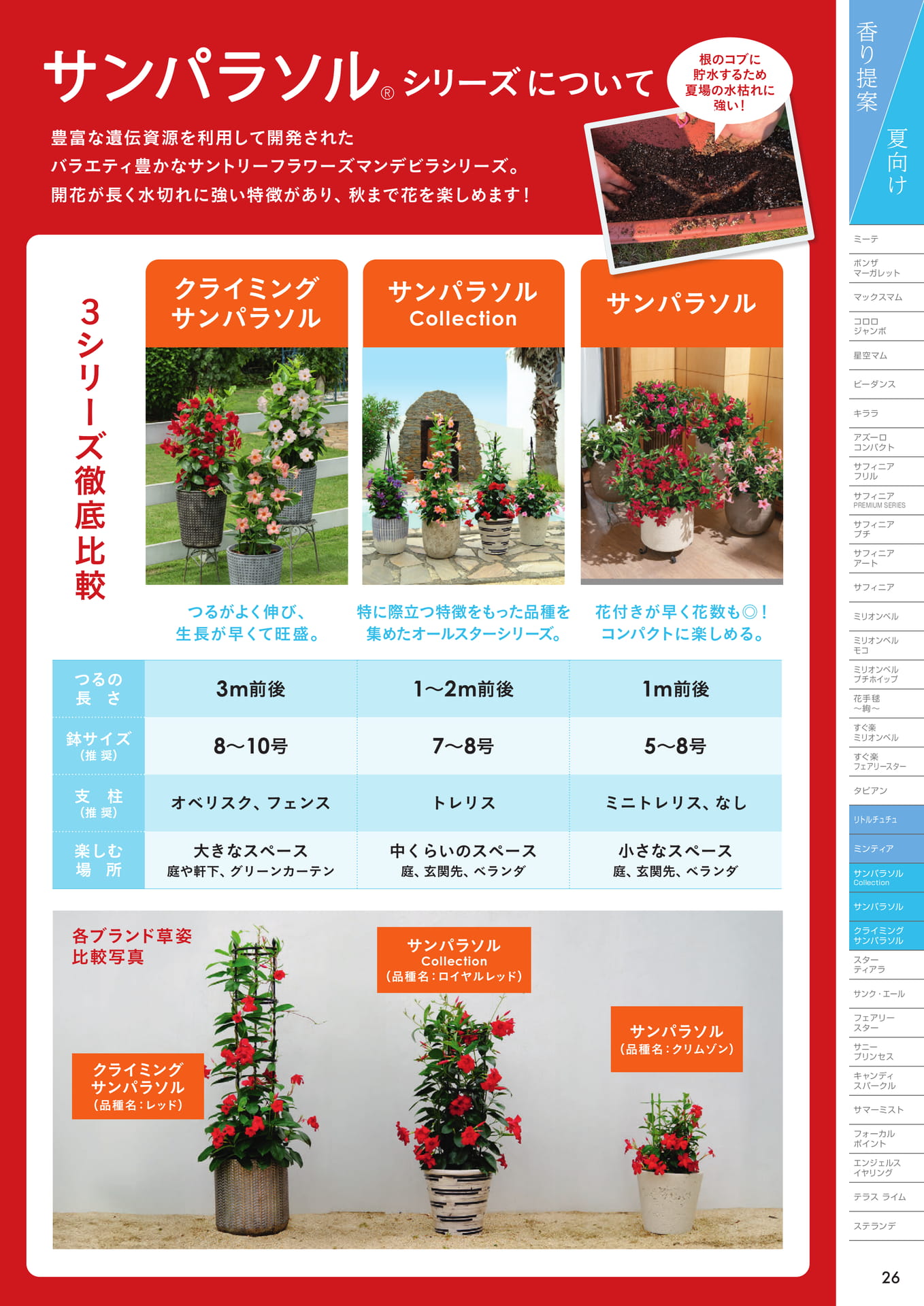 サンパラソルシリーズ徹底比較(27ページ目)