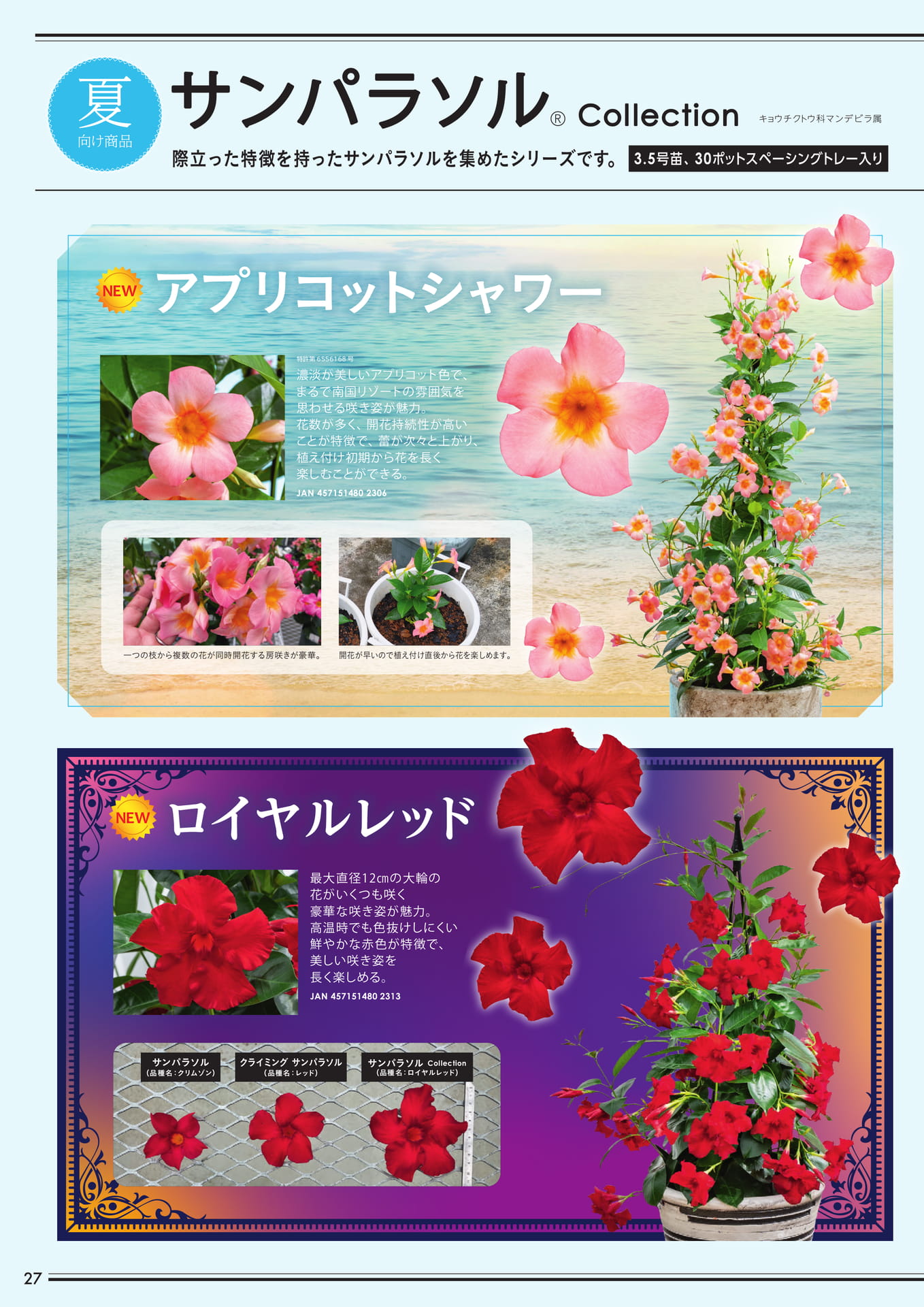 サンパラソルCollection(1/2)(28ページ目)