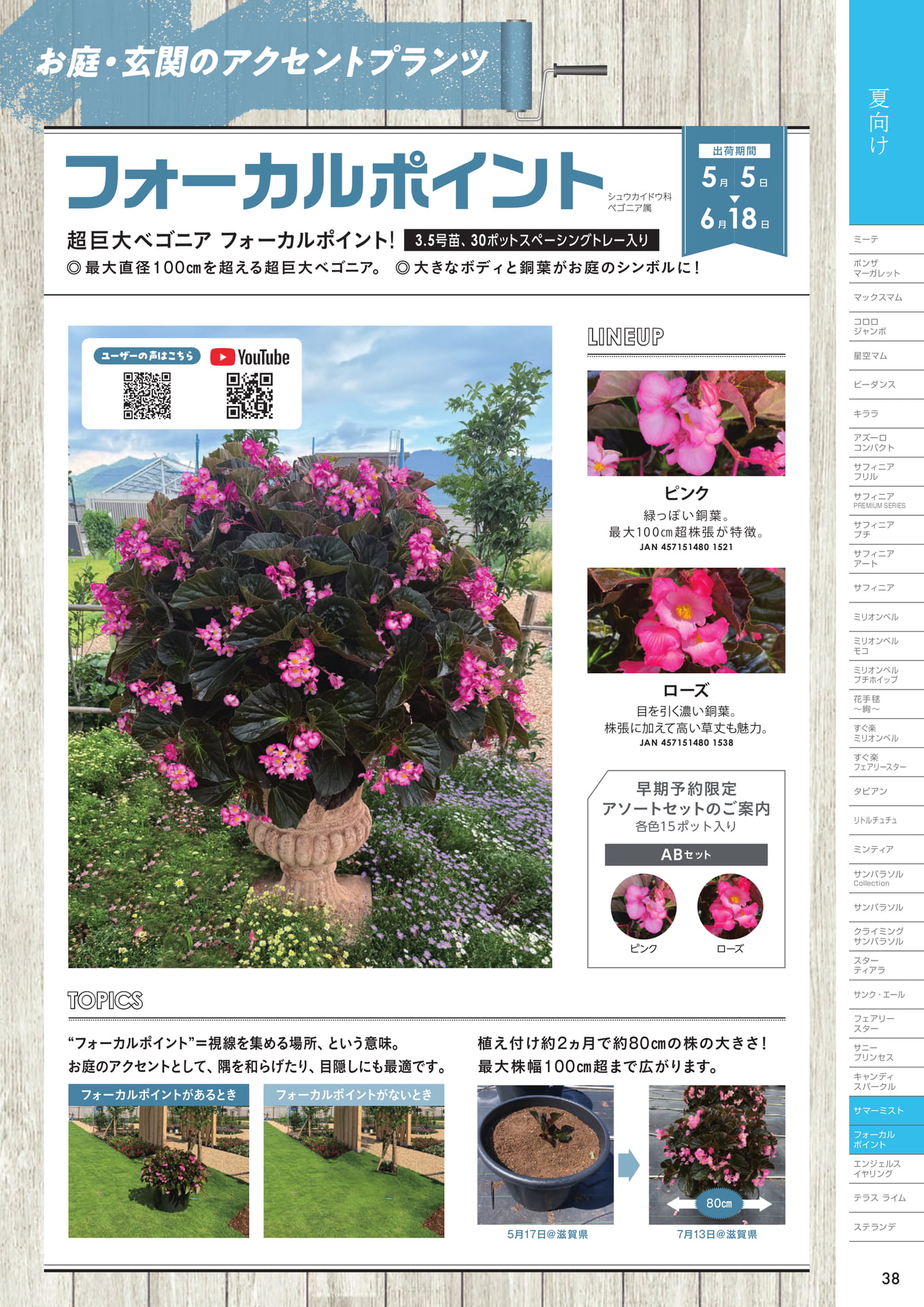 フォーカルポイント(39ページ目)