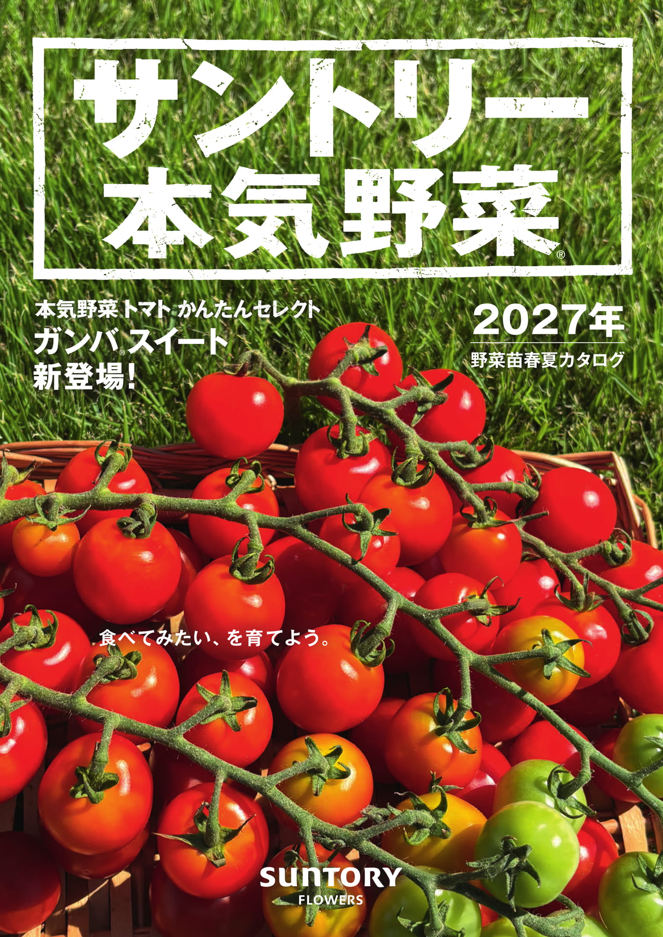表紙(1ページ目)