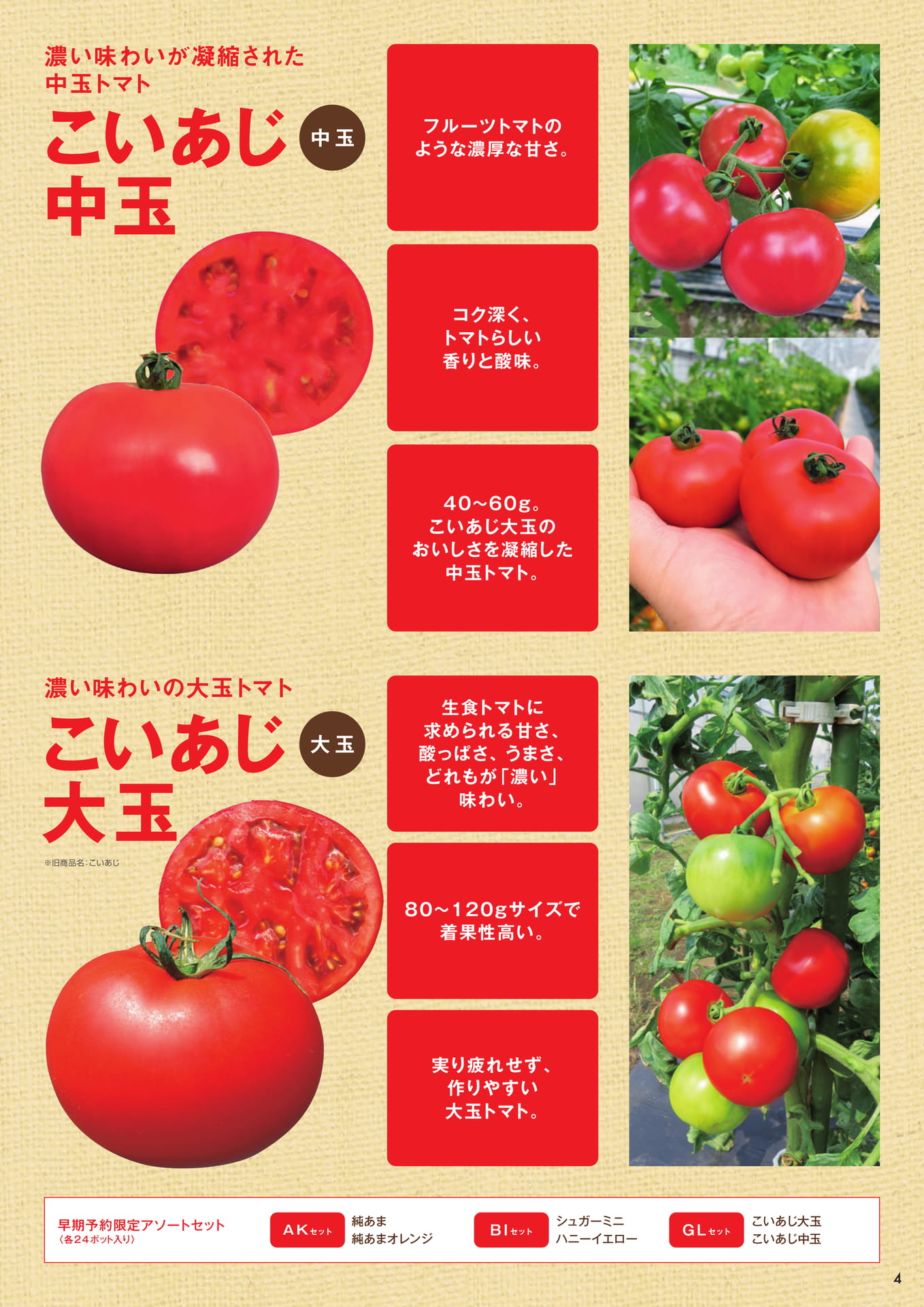 本気野菜トマト(4/9)あまさセレクト(5ページ目)