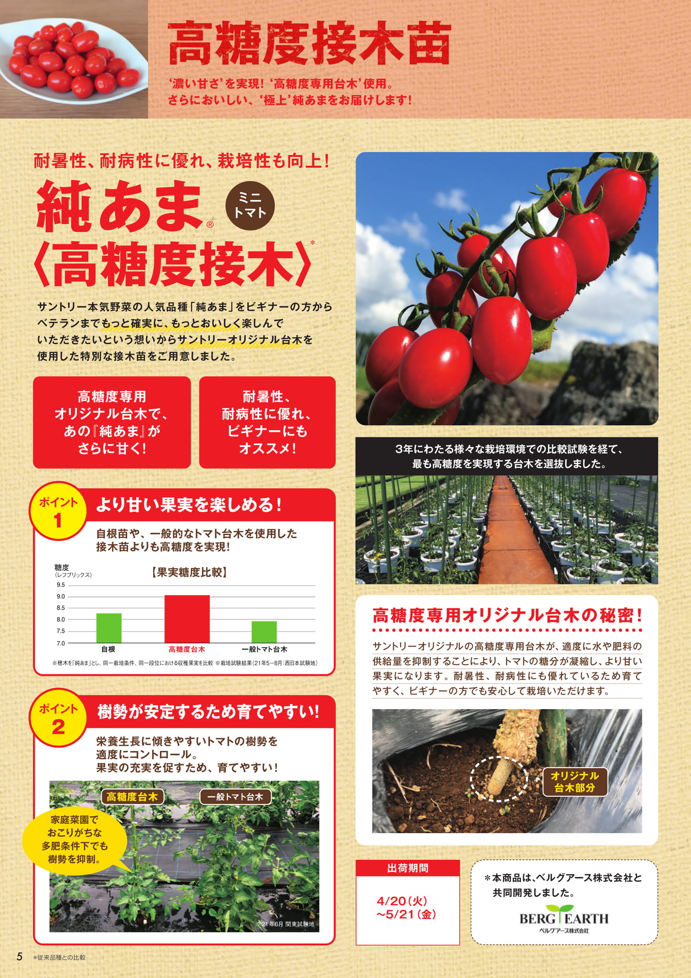 本気野菜トマト(5/9)高糖度接木苗(6ページ目)