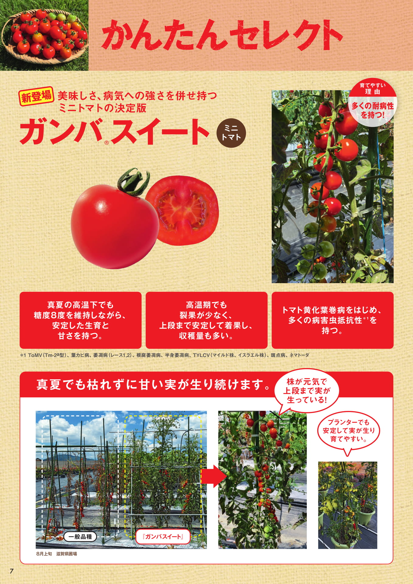 本気野菜トマト(7/9)かんたんセレクト(8ページ目)