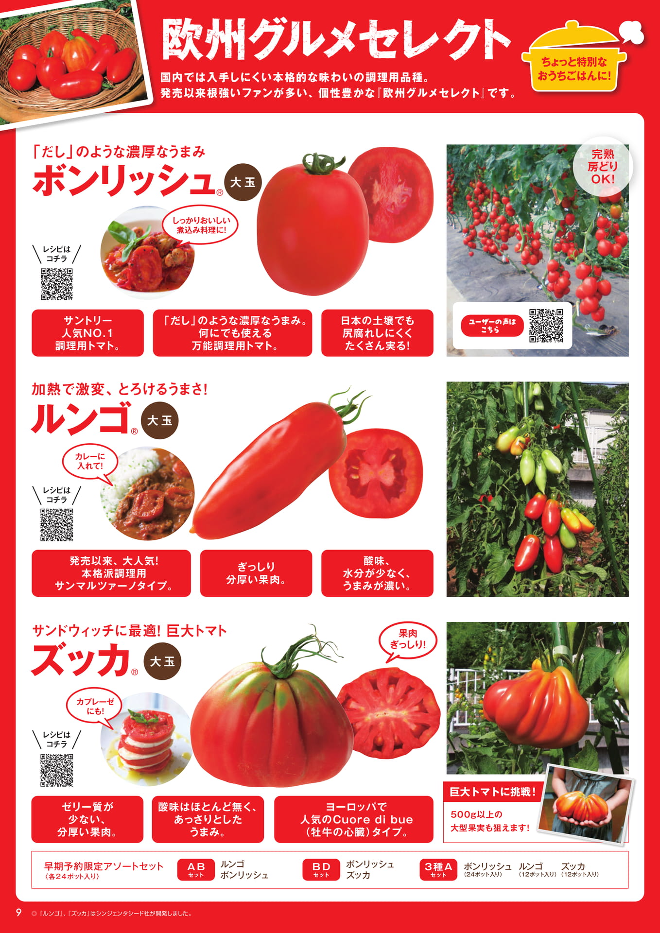 本気野菜トマト(9/9)欧州グルメセレクト(10ページ目)