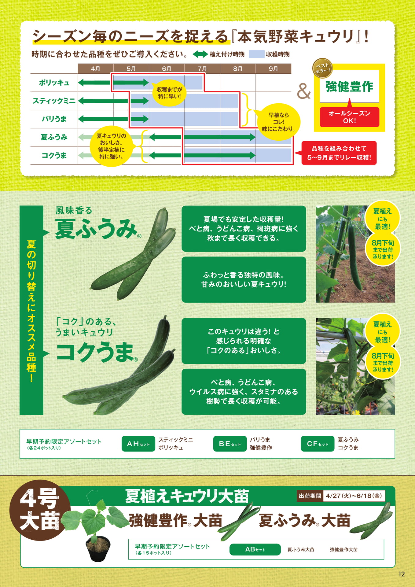 本気野菜キュウリ(3/3)(13ページ目)