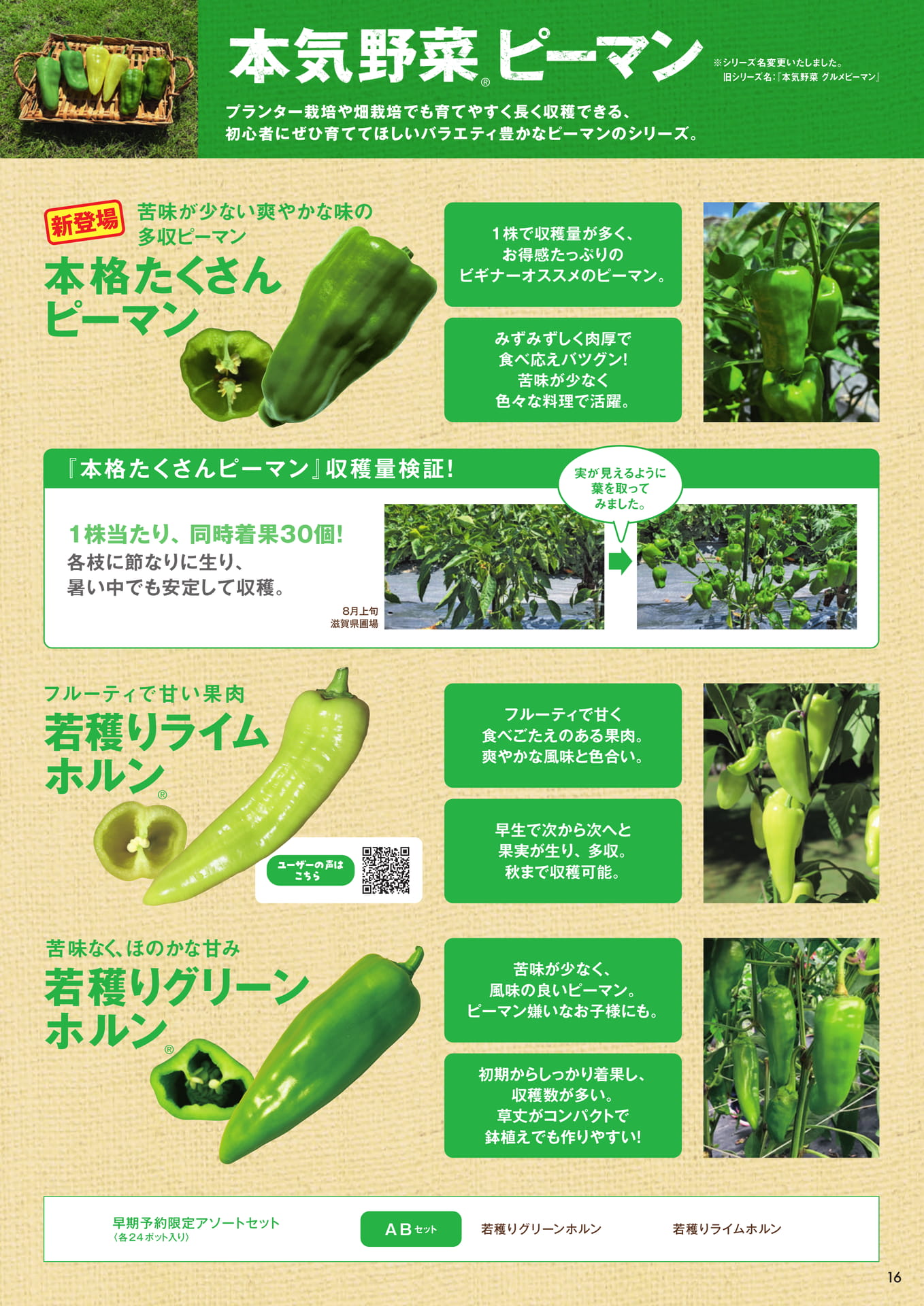 本気野菜ピーマン(17ページ目)
