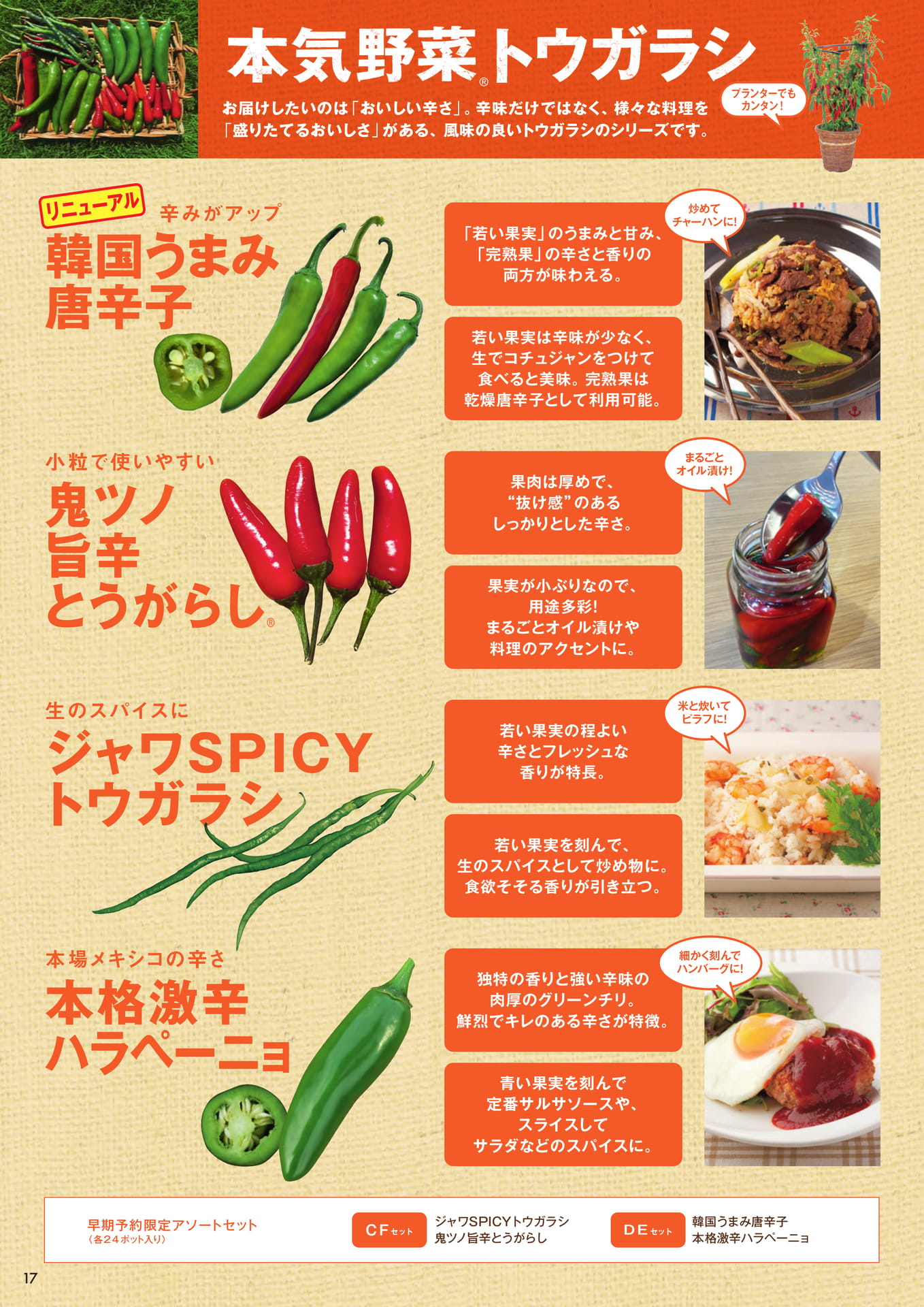 本気野菜トウガラシ(18ページ目)