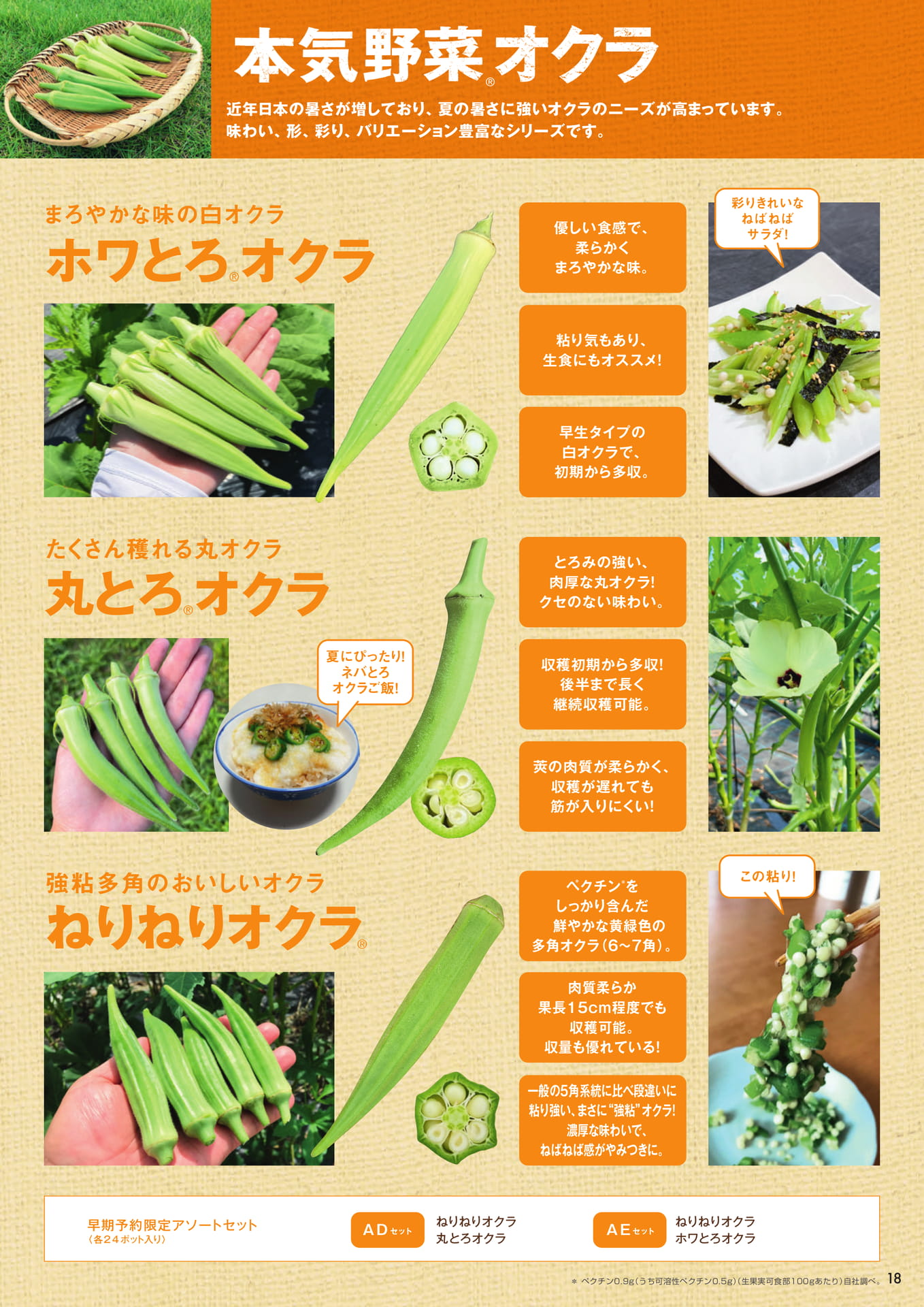 本気野菜オクラ(19ページ目)