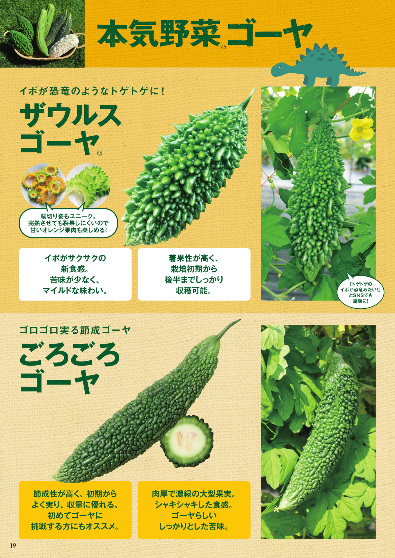 本気野菜ゴーヤ(1/2)(20ページ目)