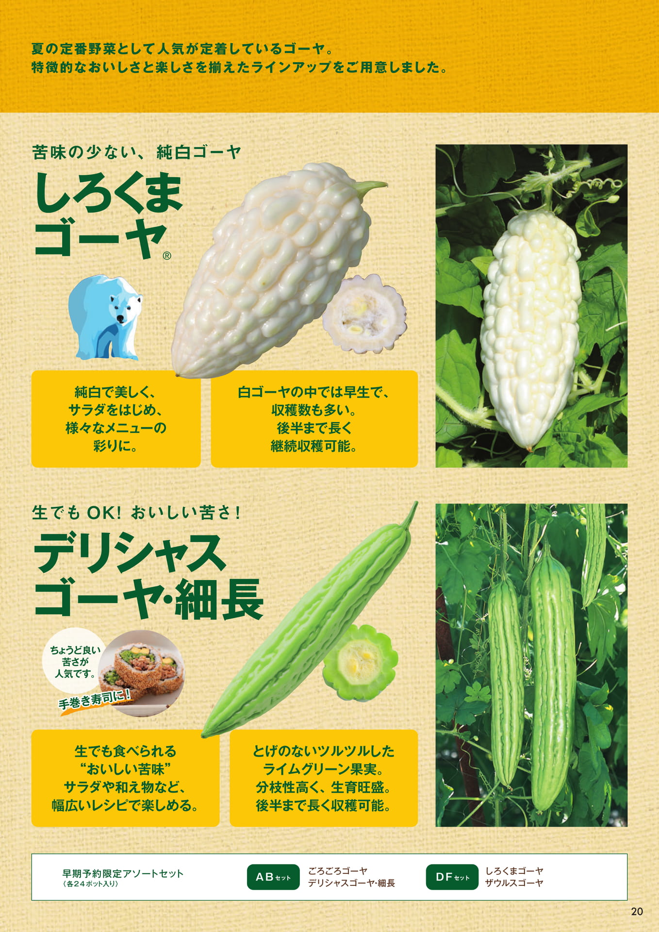 本気野菜ゴーヤ(2/2)(21ページ目)