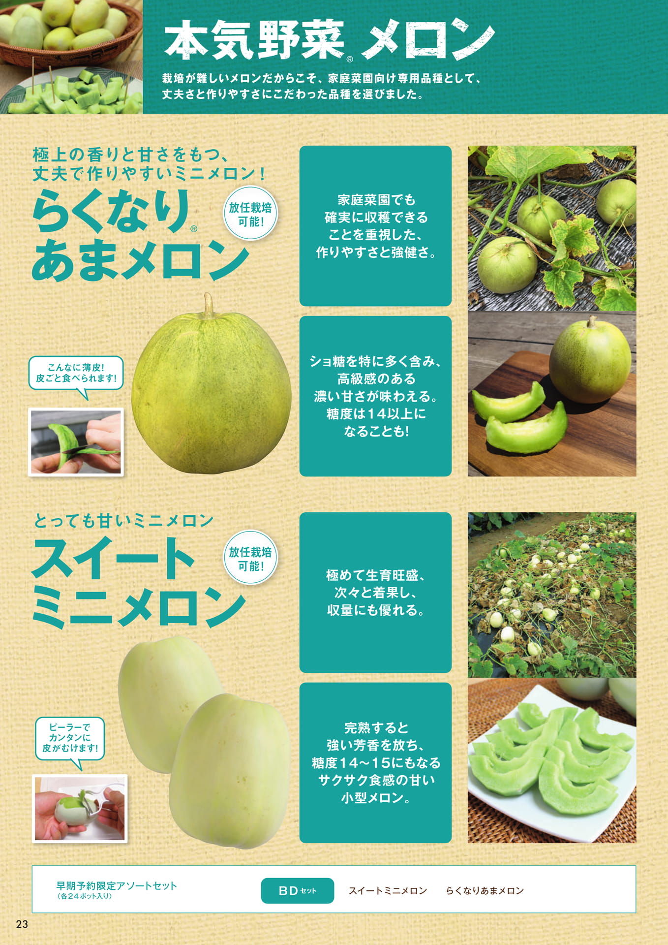 本気野菜メロン(24ページ目)