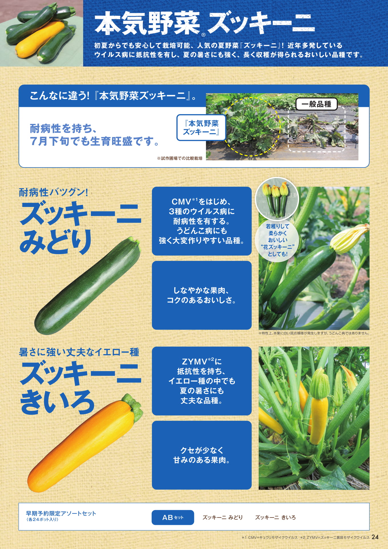 本気野菜ズッキーニ(25ページ目)