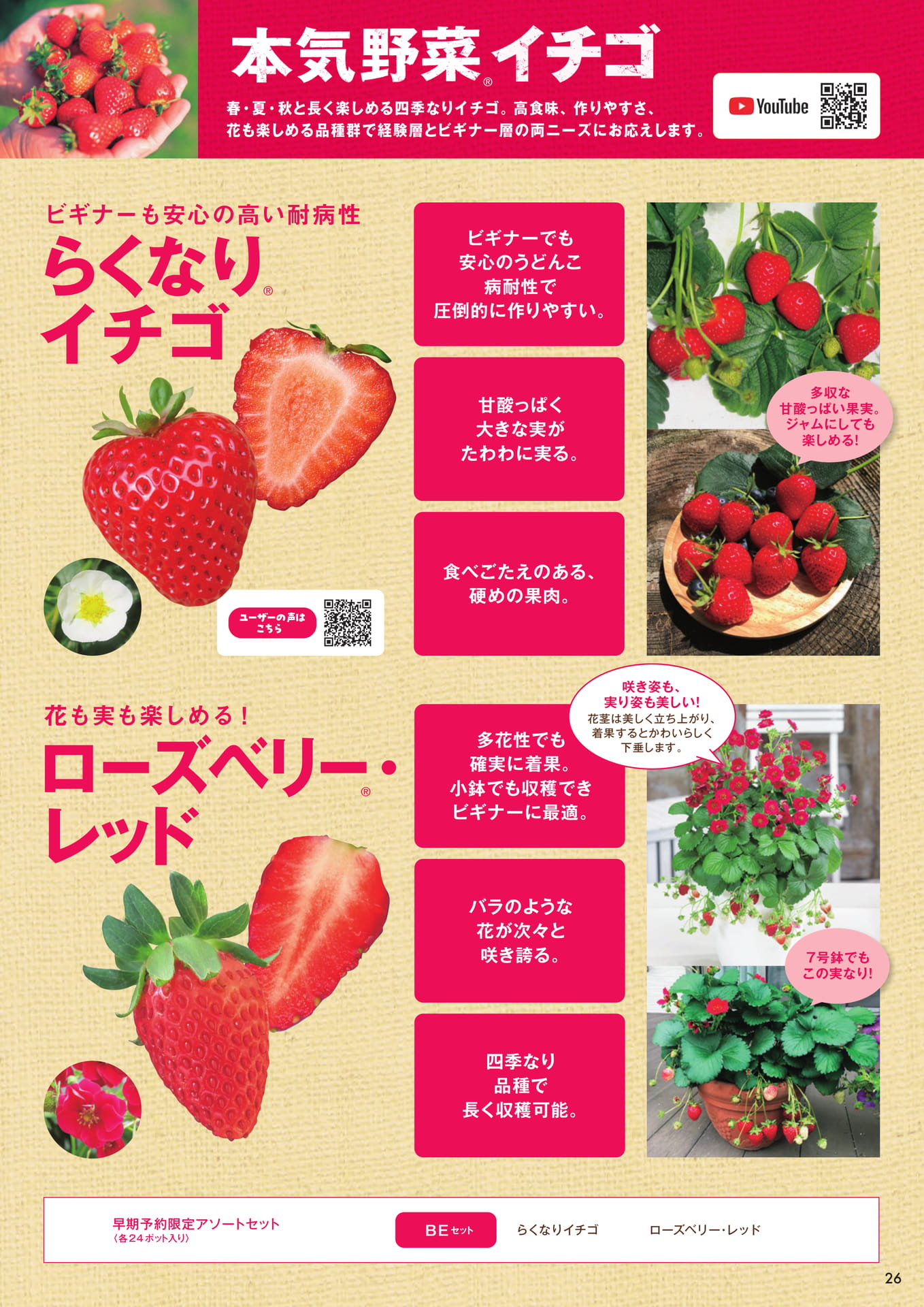 本気野菜イチゴ(27ページ目)