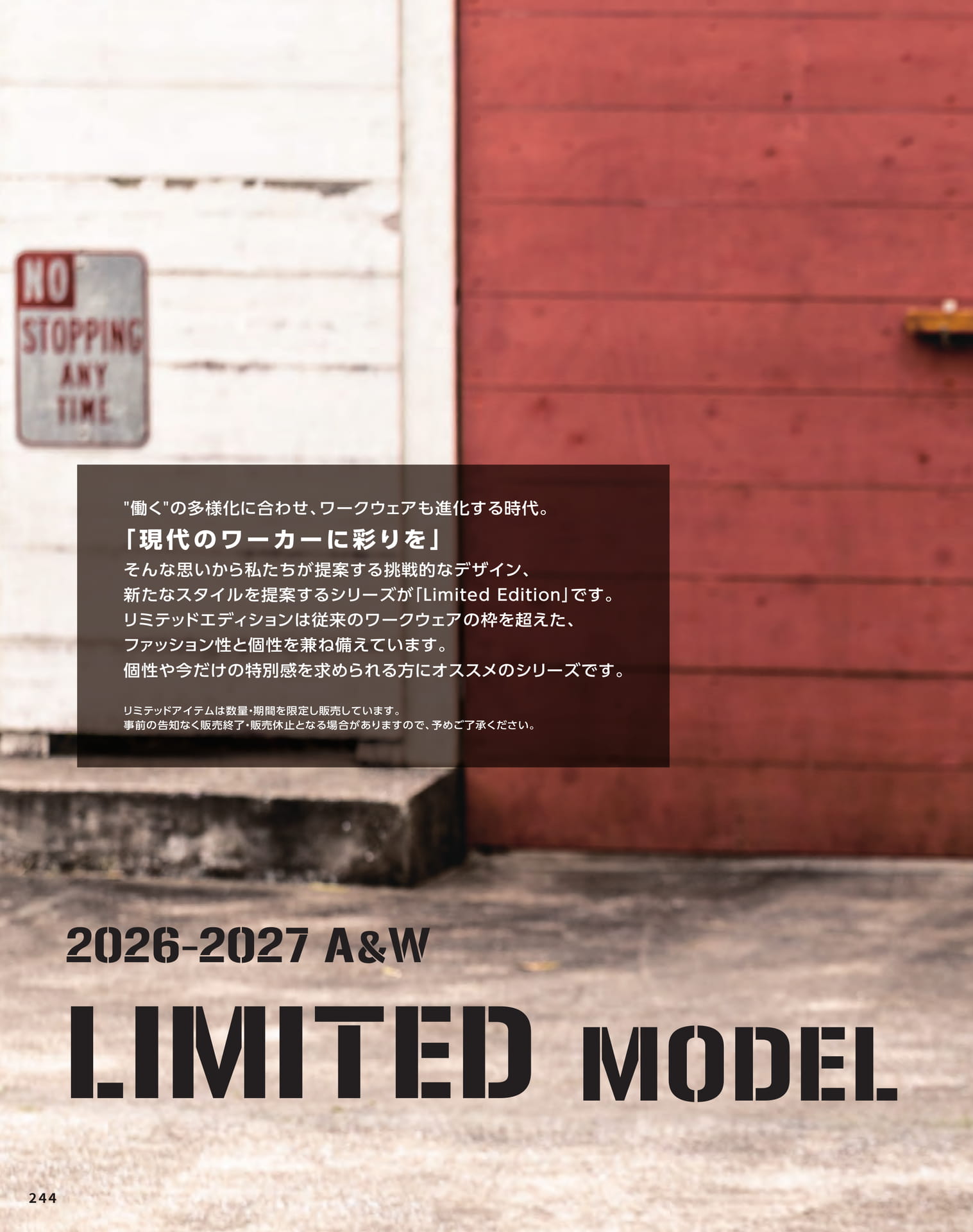 Limited Edition(246ページ目)