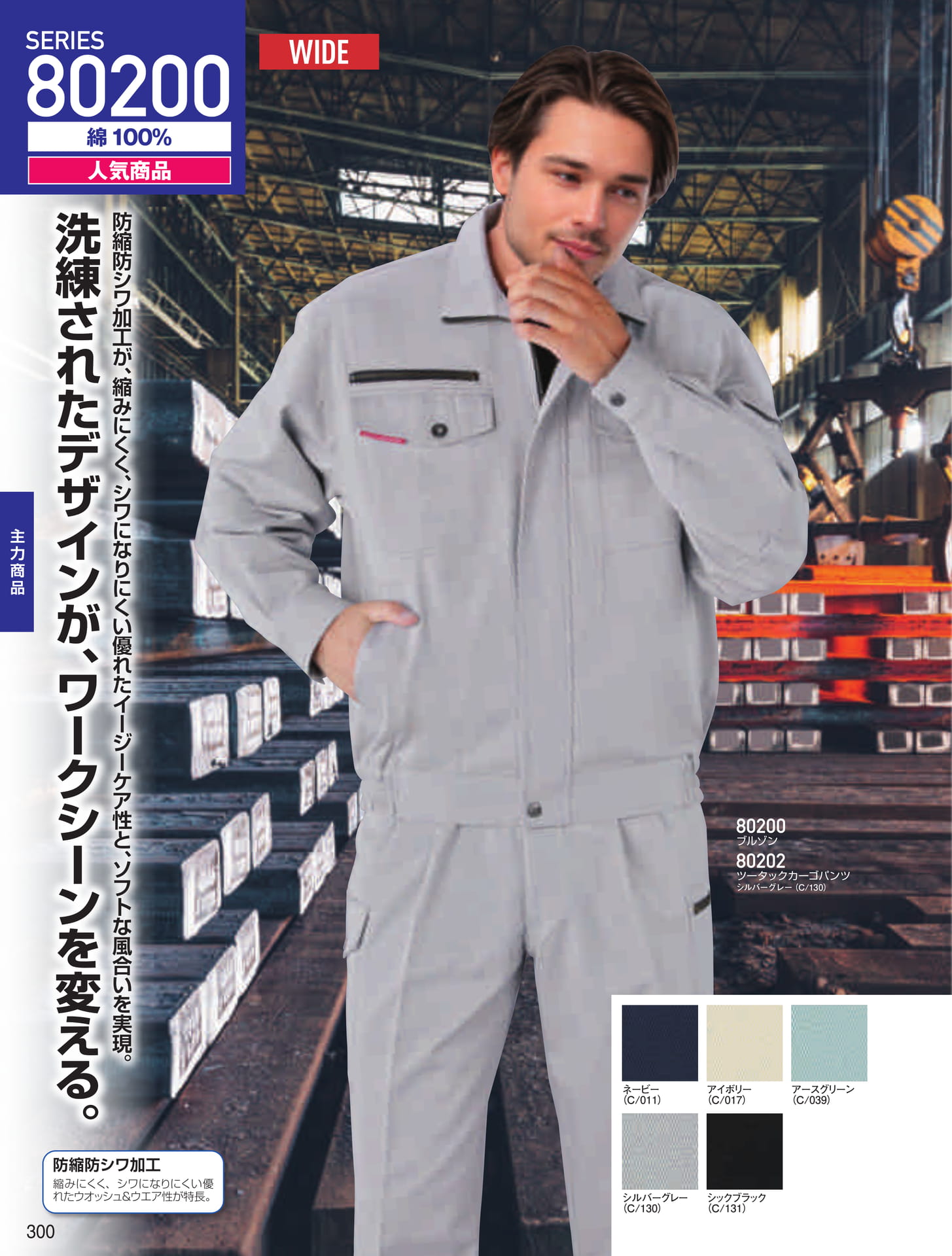 SERIES 80200(300ページ目)