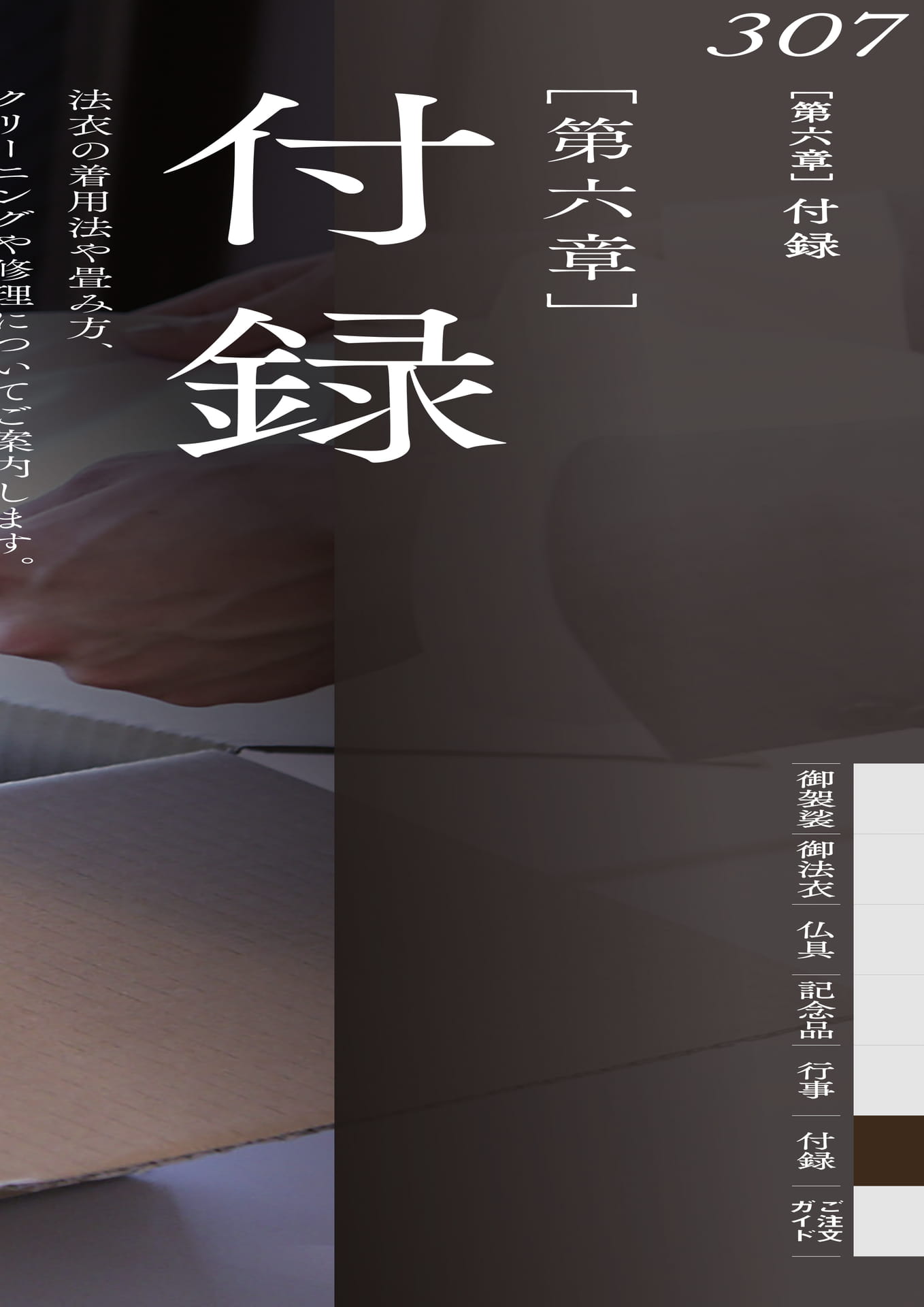 Page 313（313ページ目）