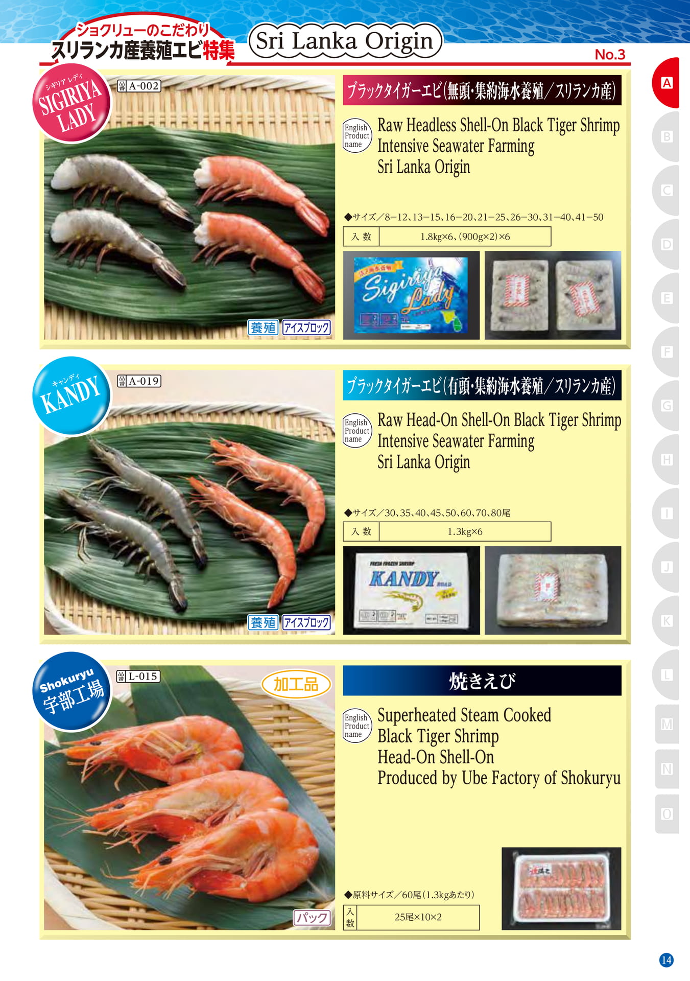 Shrimp(5ページ目)