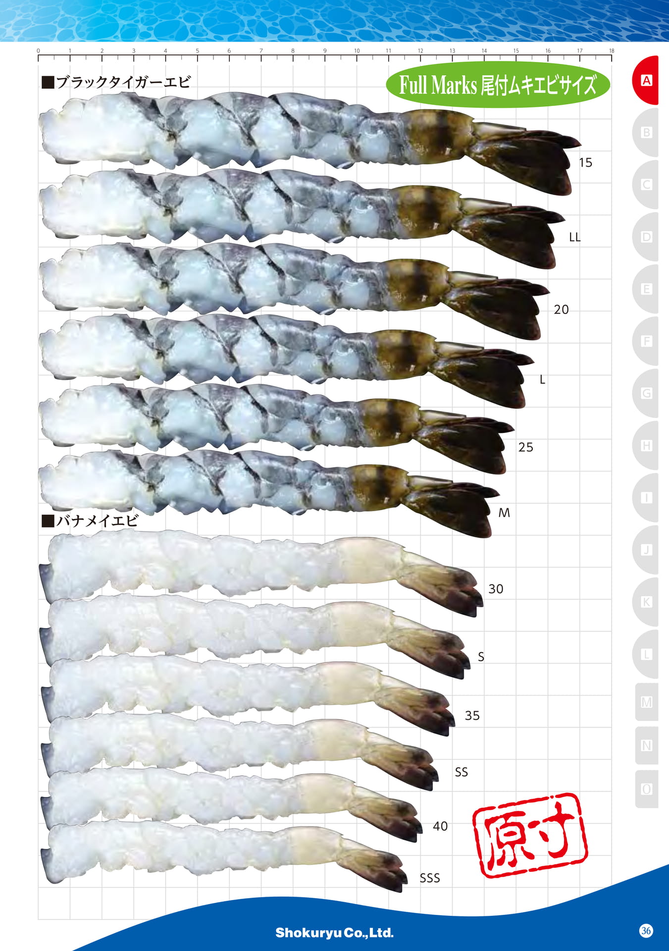 Shrimp Raw Peeled Tail-On Stretching Shrimp Size(25ページ目)