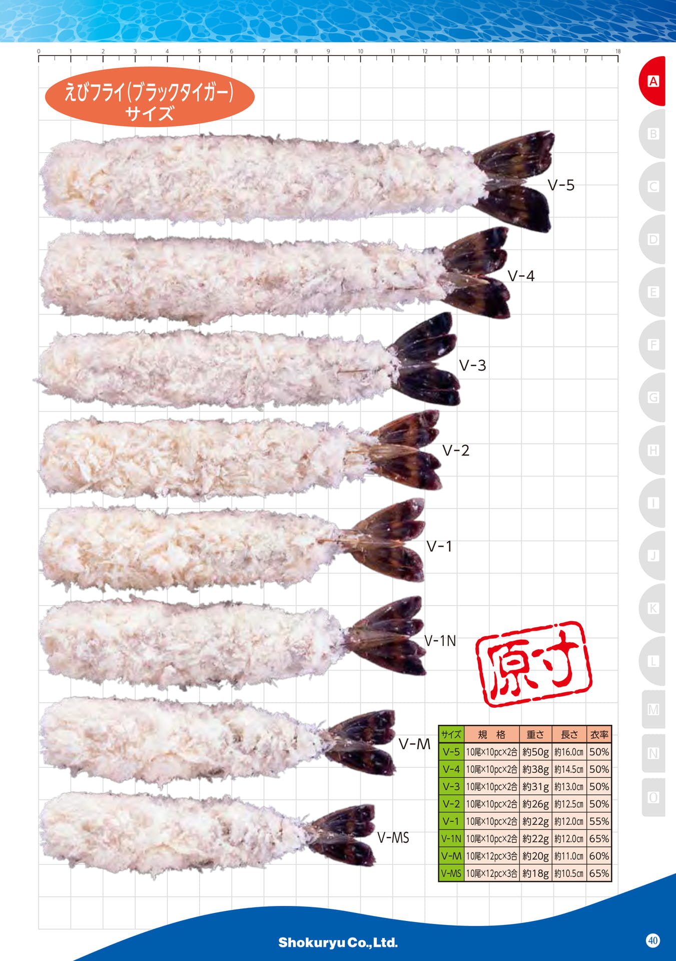 Size(31ページ目)