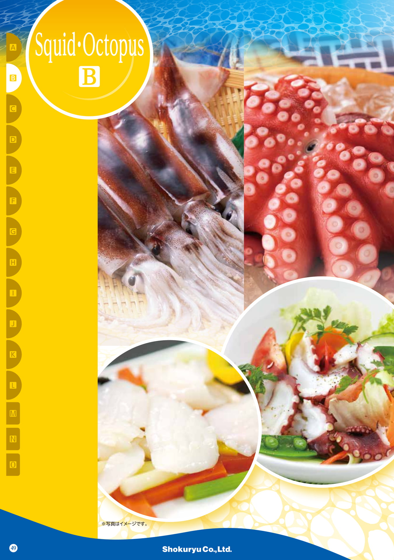 Squid・Octopus(40ページ目)
