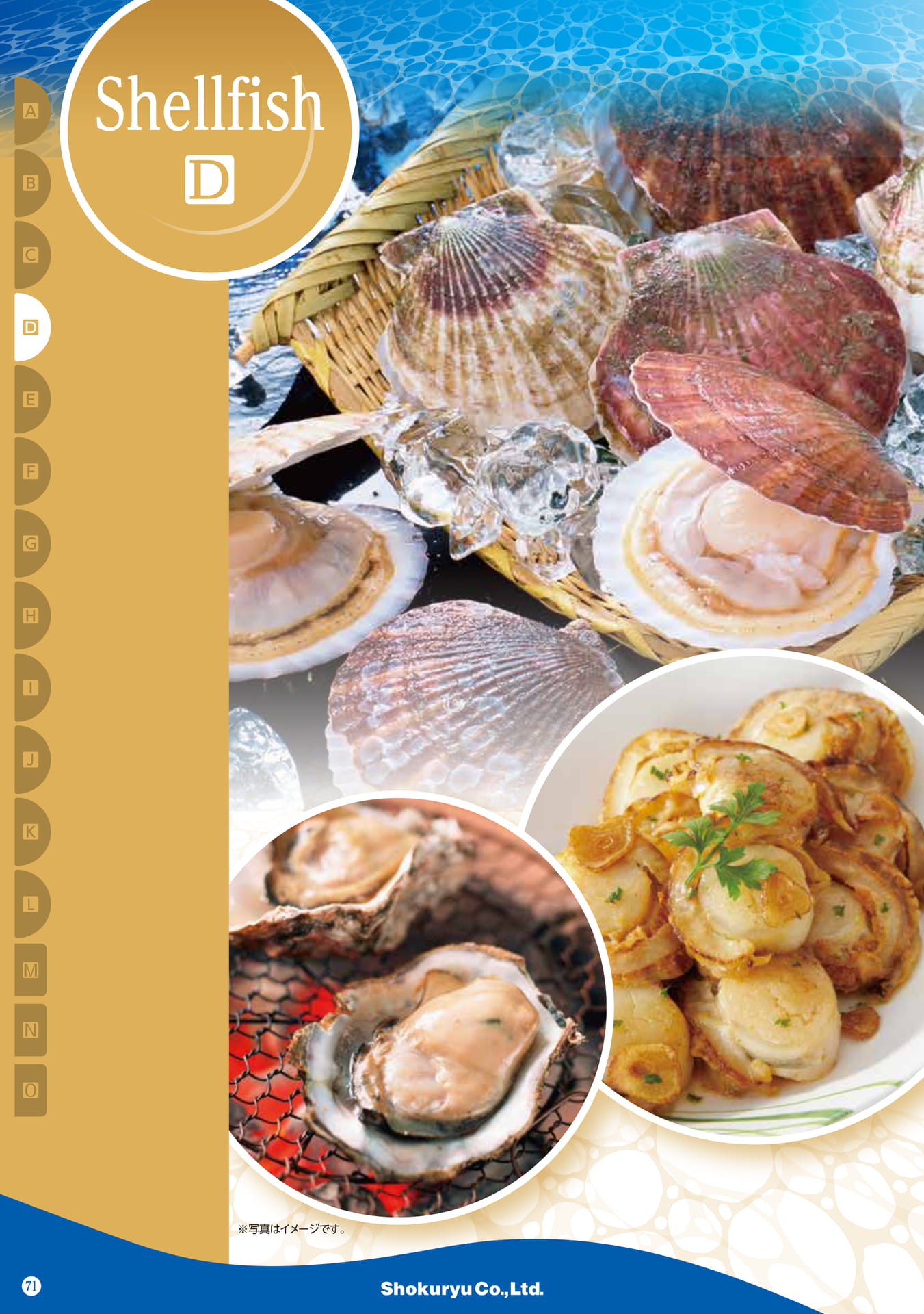 Shellfish(62ページ目)