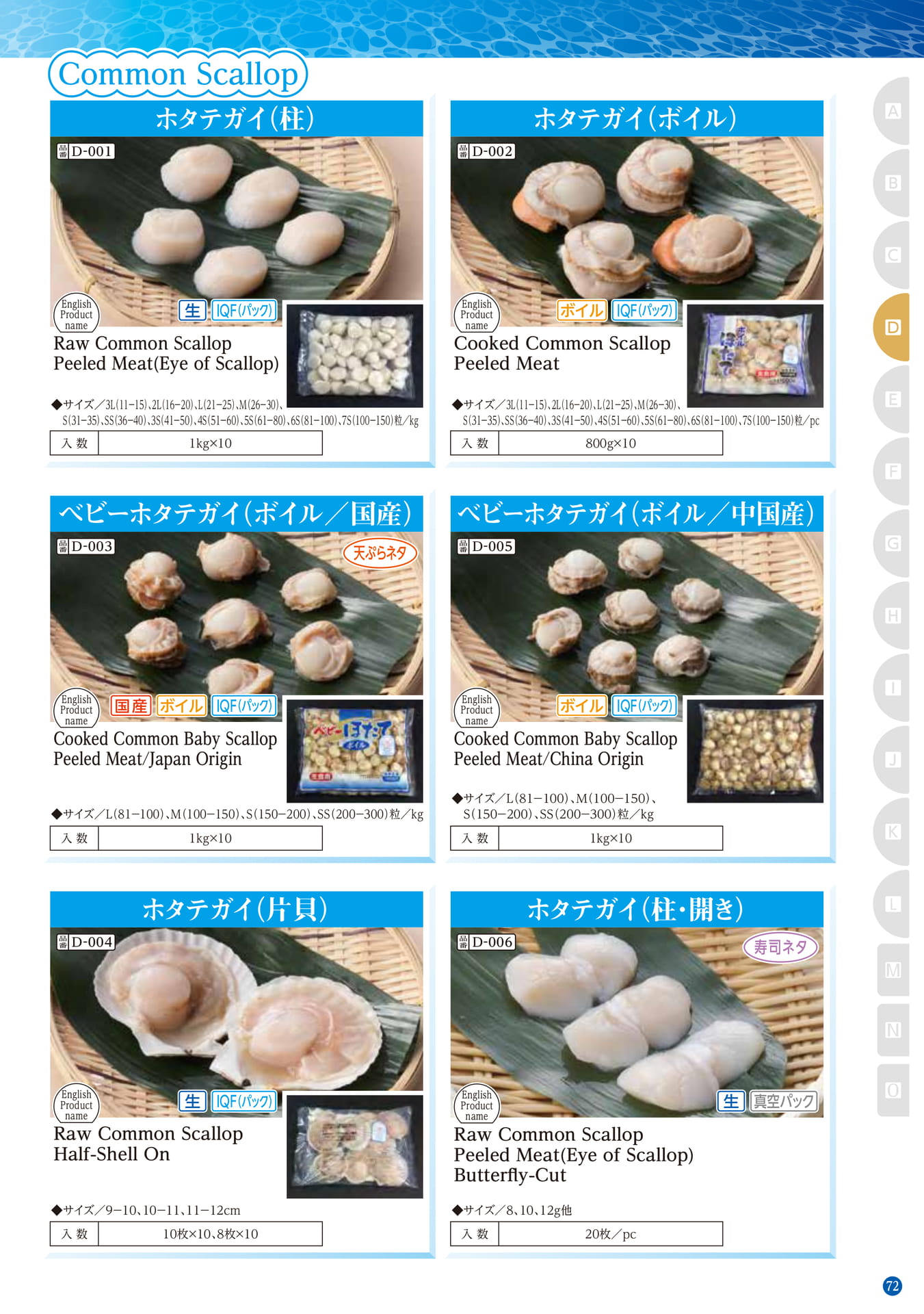 Shellfish Common Scallop(63ページ目)