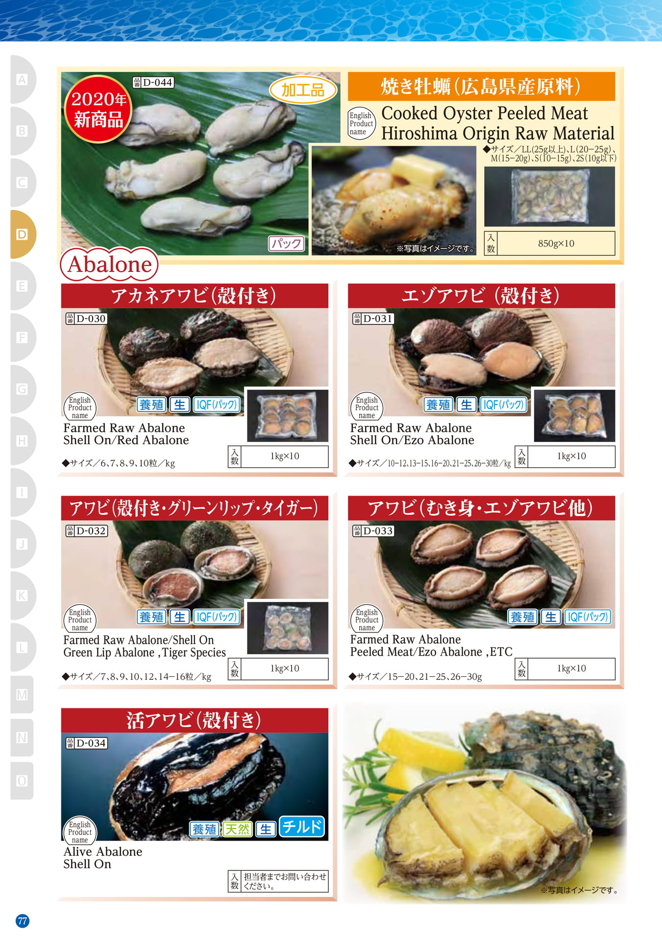 Shellfish Common Scallop Abalone(68ページ目)