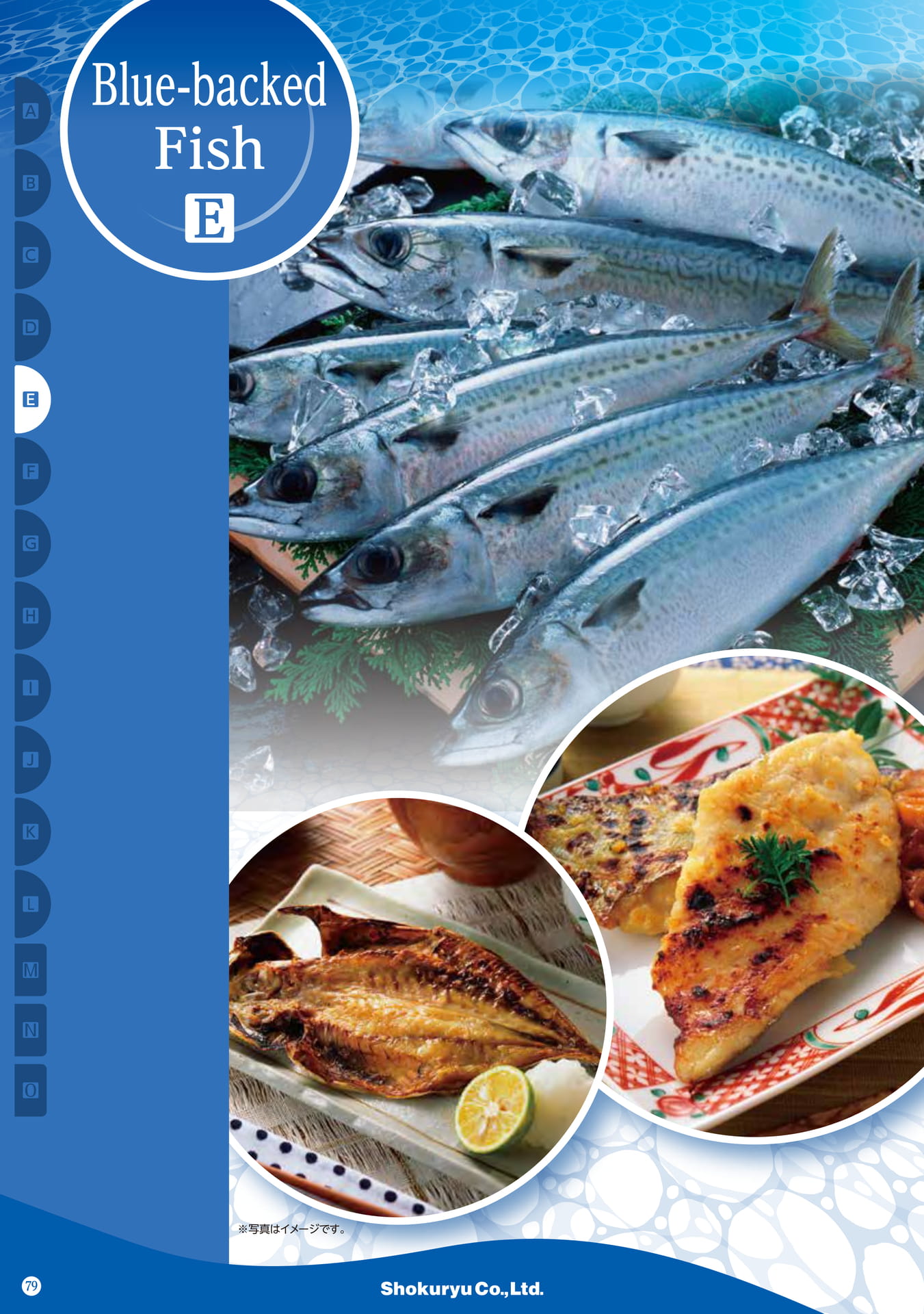 Blue-backed Fish(70ページ目)