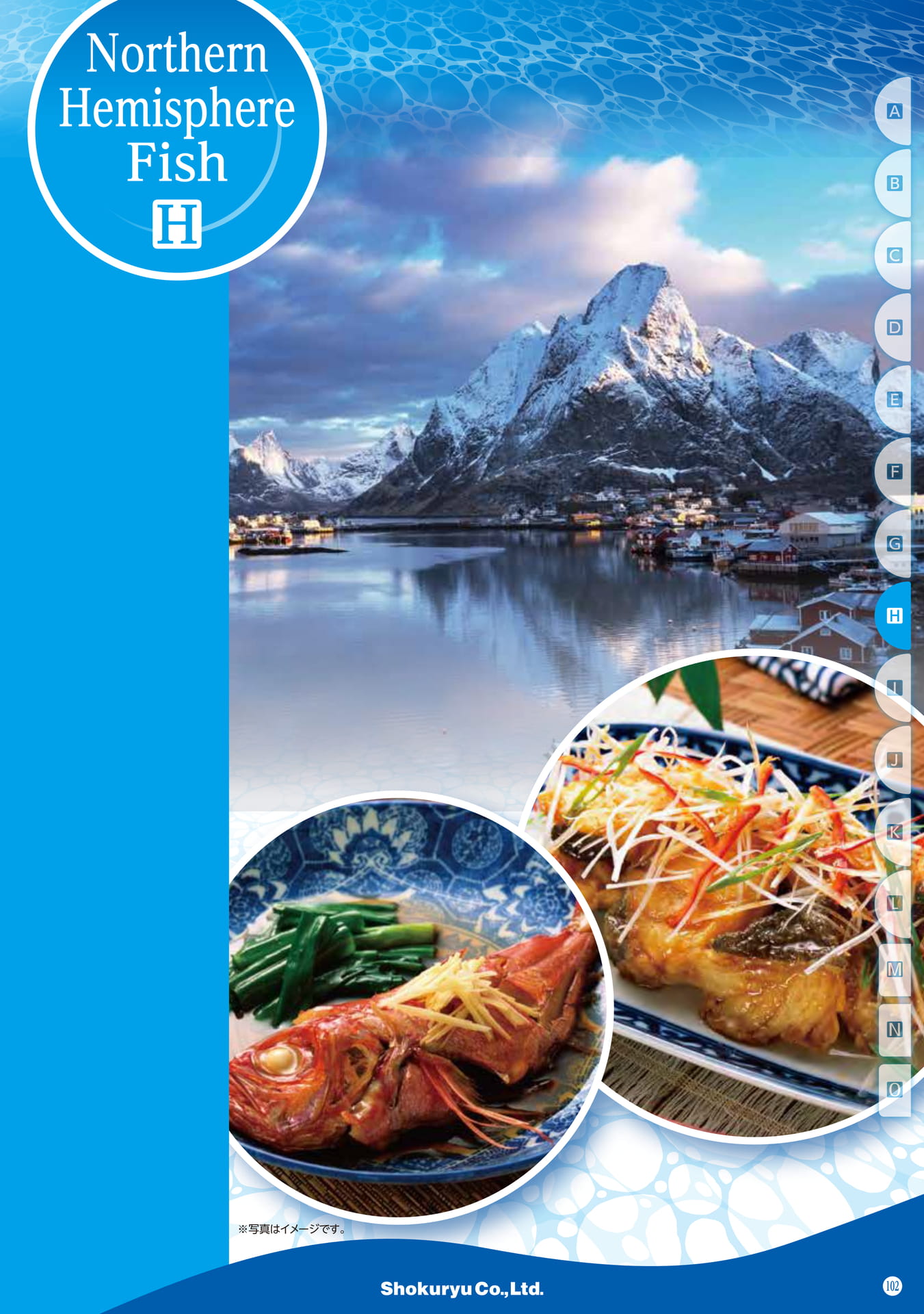Northern Hemisphere Fish(93ページ目)