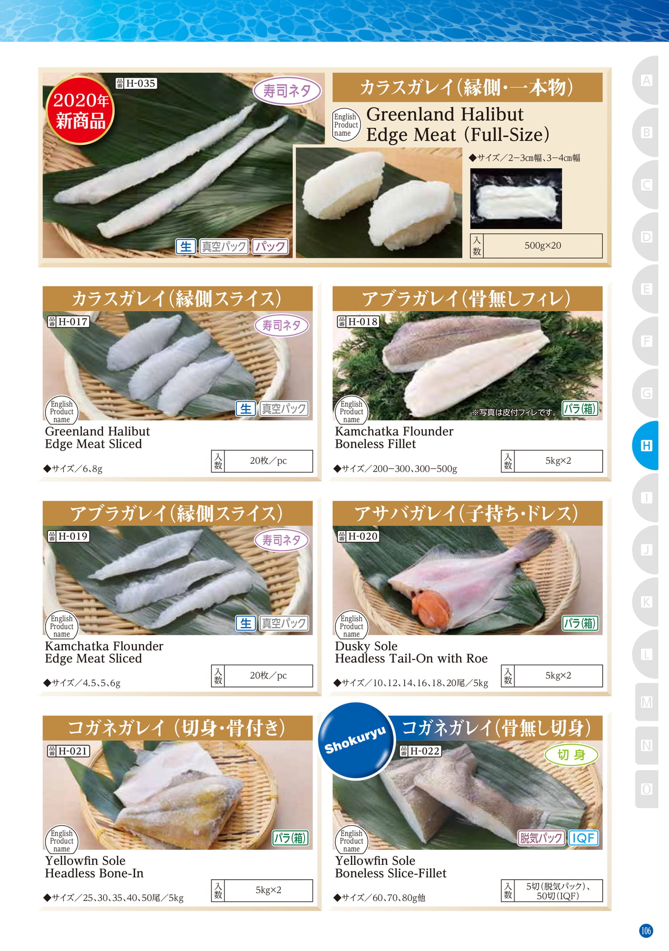 Northern Hemisphere Fish Flounder(97ページ目)