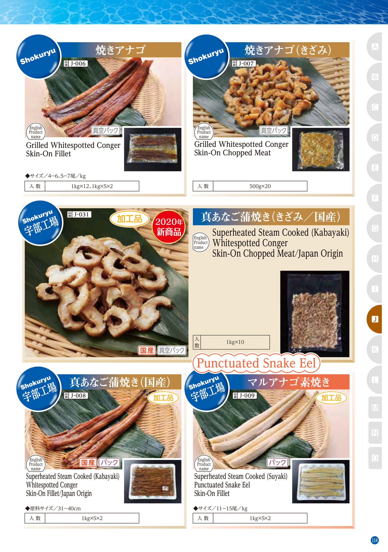 Conger・Pike Conger・Eel Whitespotted Conger(105ページ目)