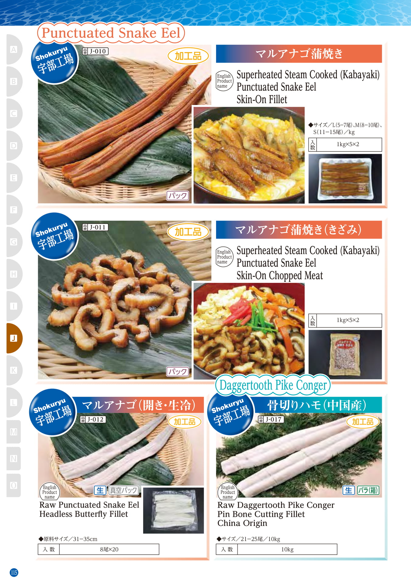 Conger・Pike Conger・Eel Punctuated Snake Eel(106ページ目)