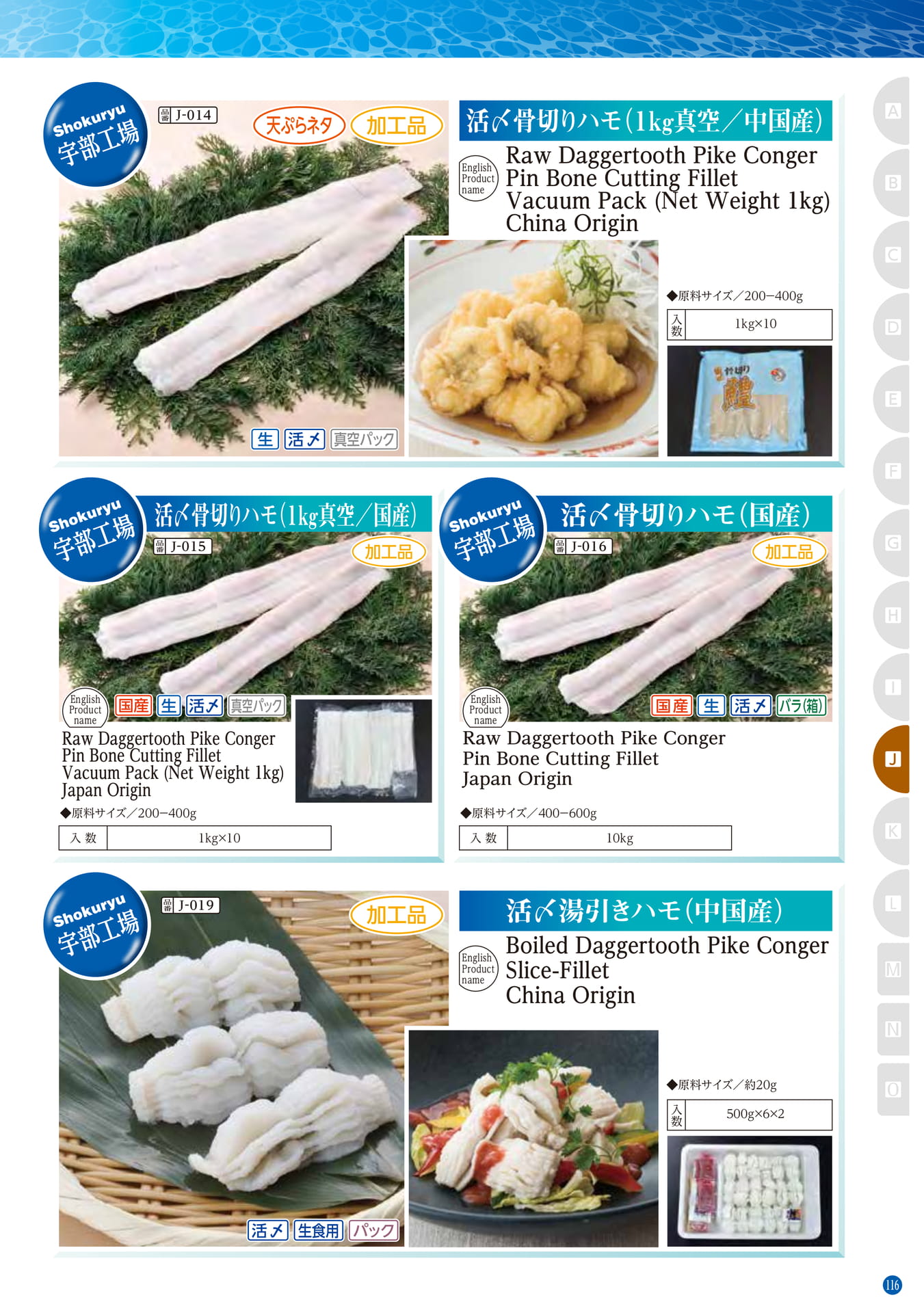 Conger・Pike Conger・Eel Daggertooth Pike Conger(107ページ目)