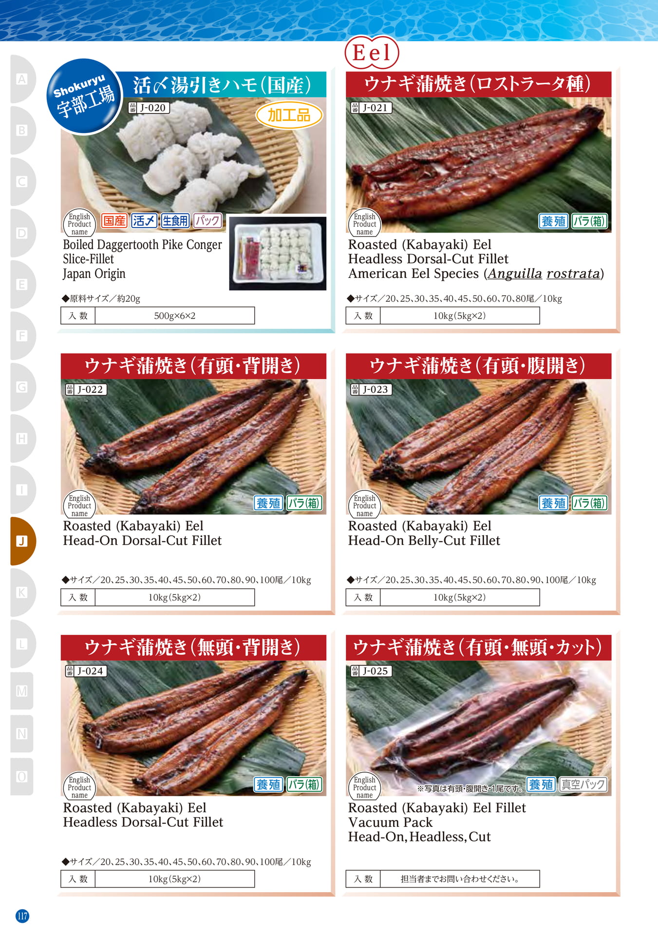 Conger・Pike Conger・Eel Daggertooth Pike Conger(108ページ目)