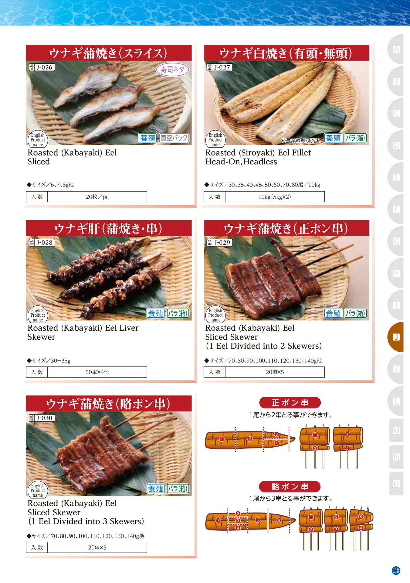 Conger・Pike Conger・Eel Daggertooth Pike Conger(109ページ目)