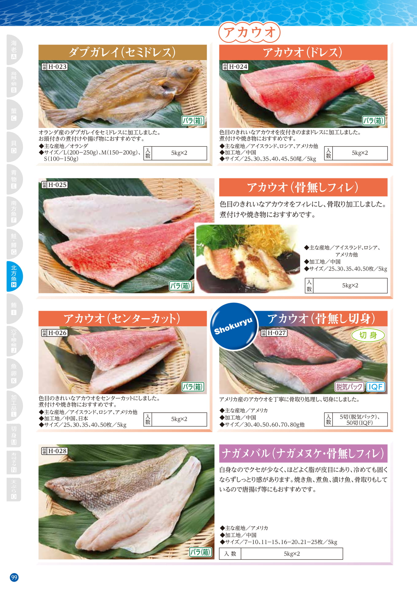 Page 100(100ページ目)