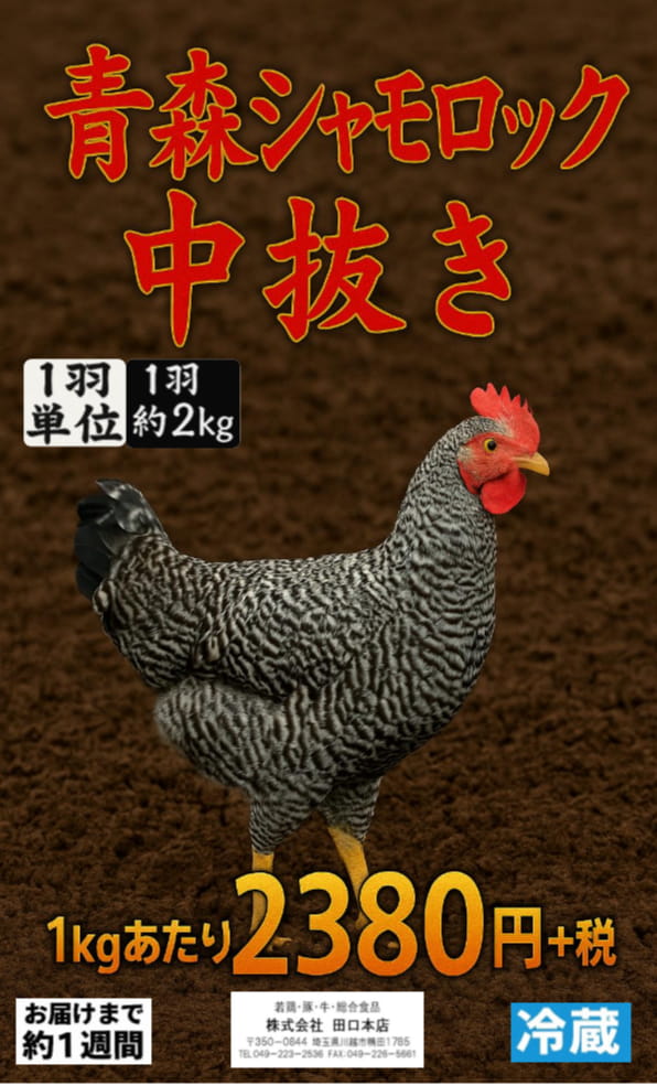 Page (追加)1（55ページ目）