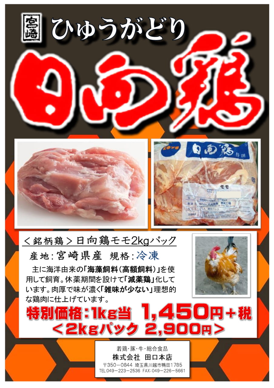 Page (追加)1（61ページ目）