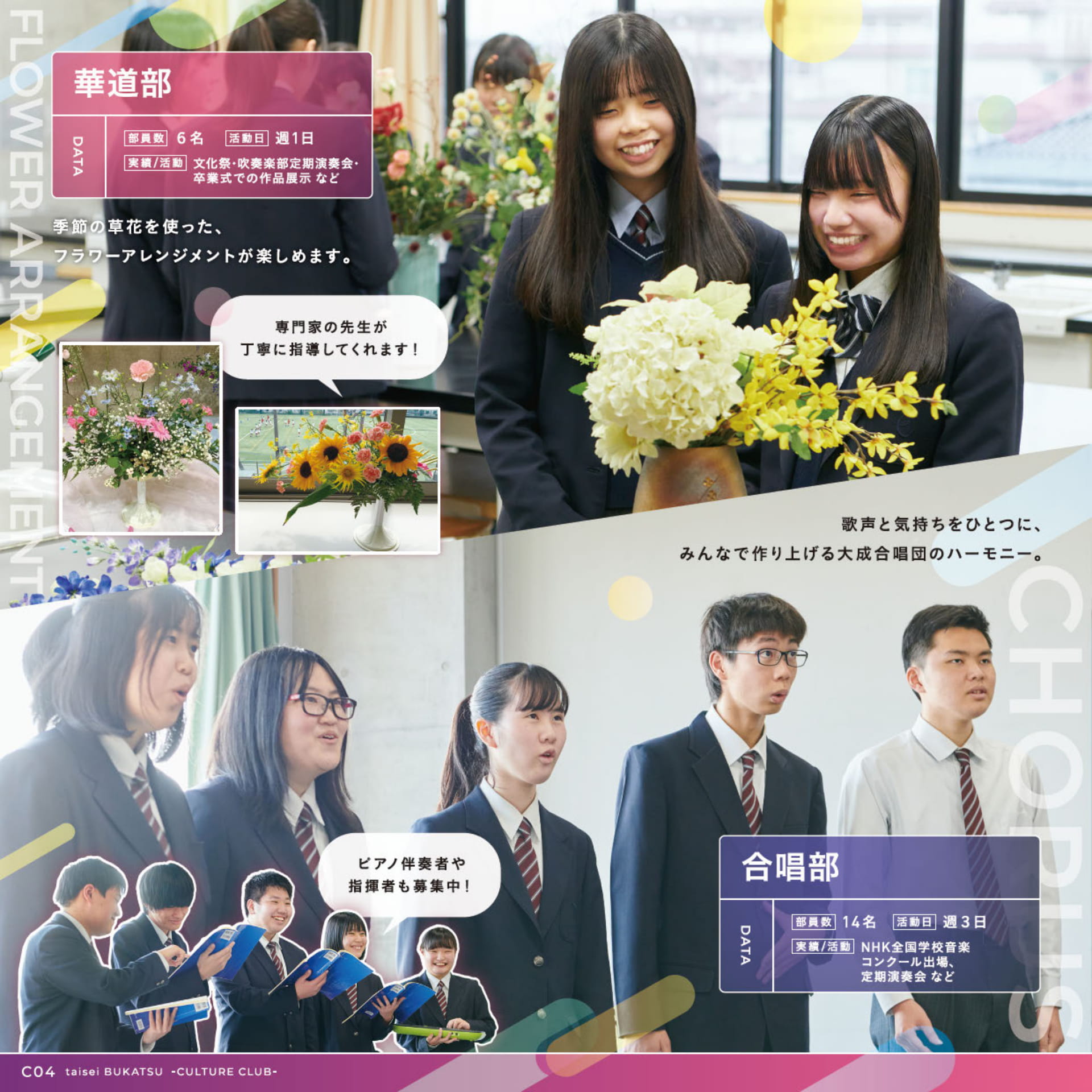 Page 20（20ページ目）