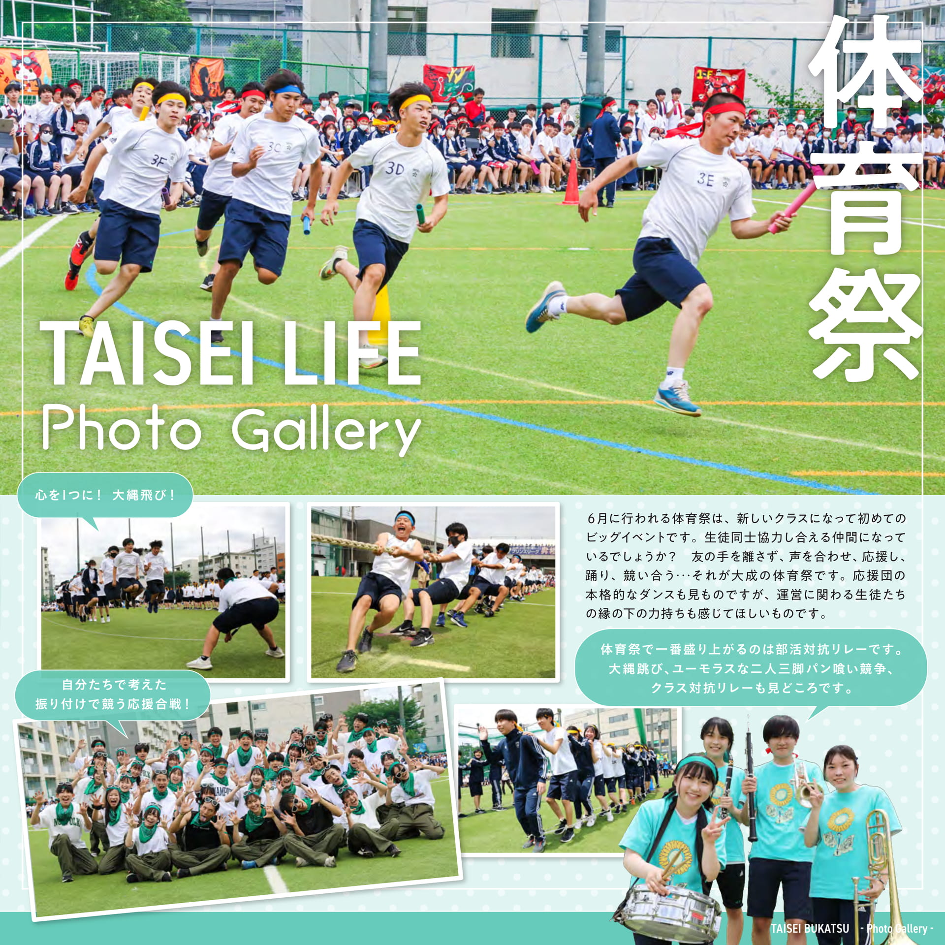 Page 11(11ページ目)