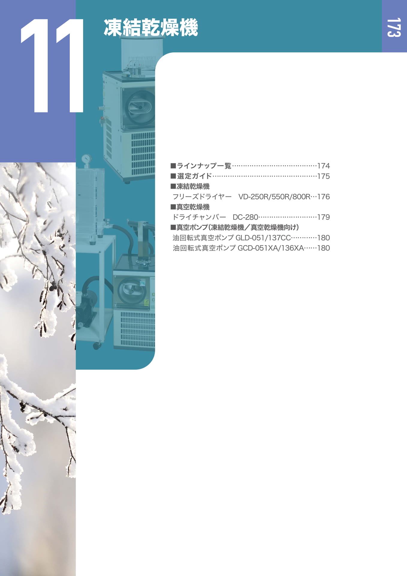 Page 174(175ページ目)