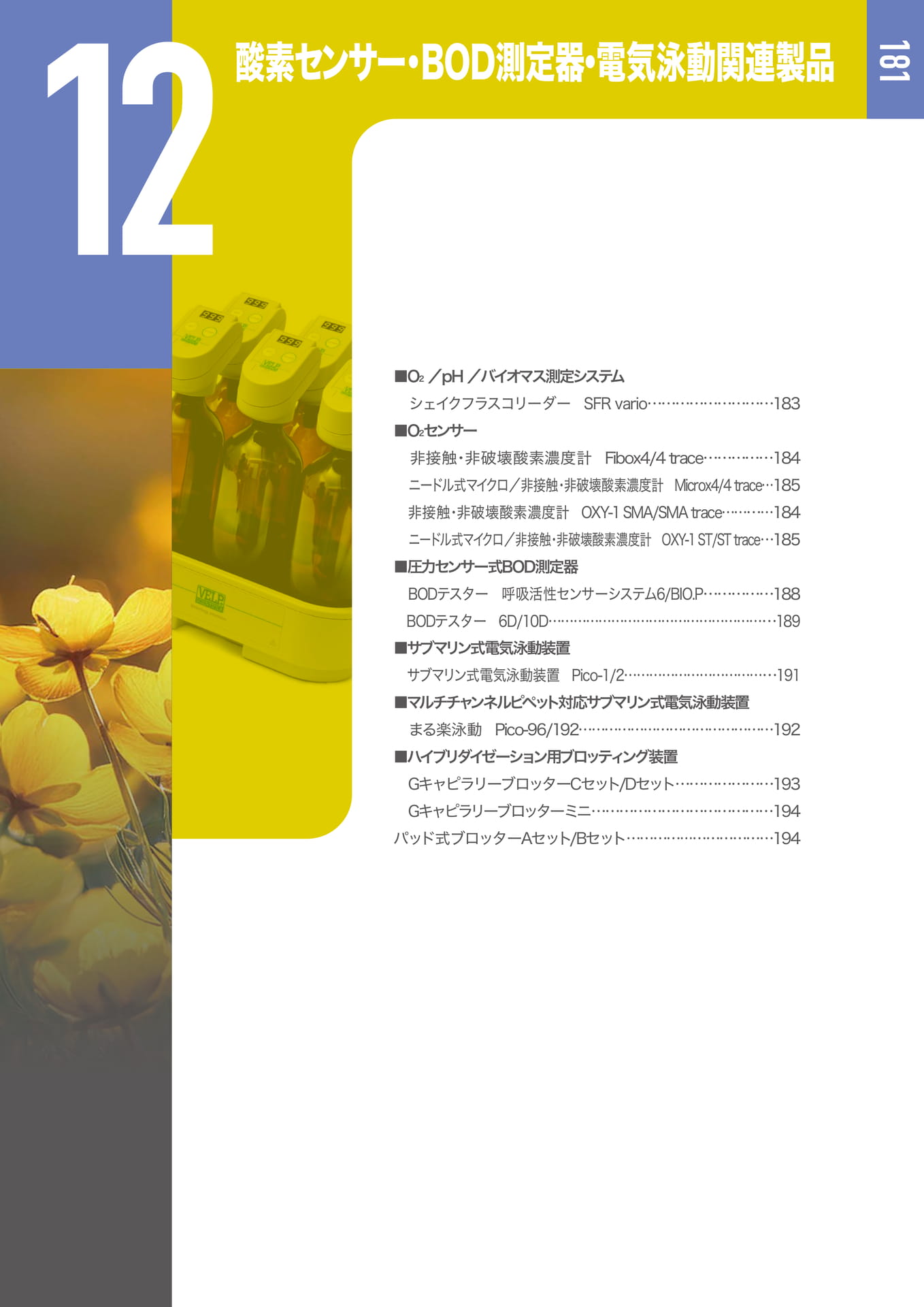 Page 182(183ページ目)