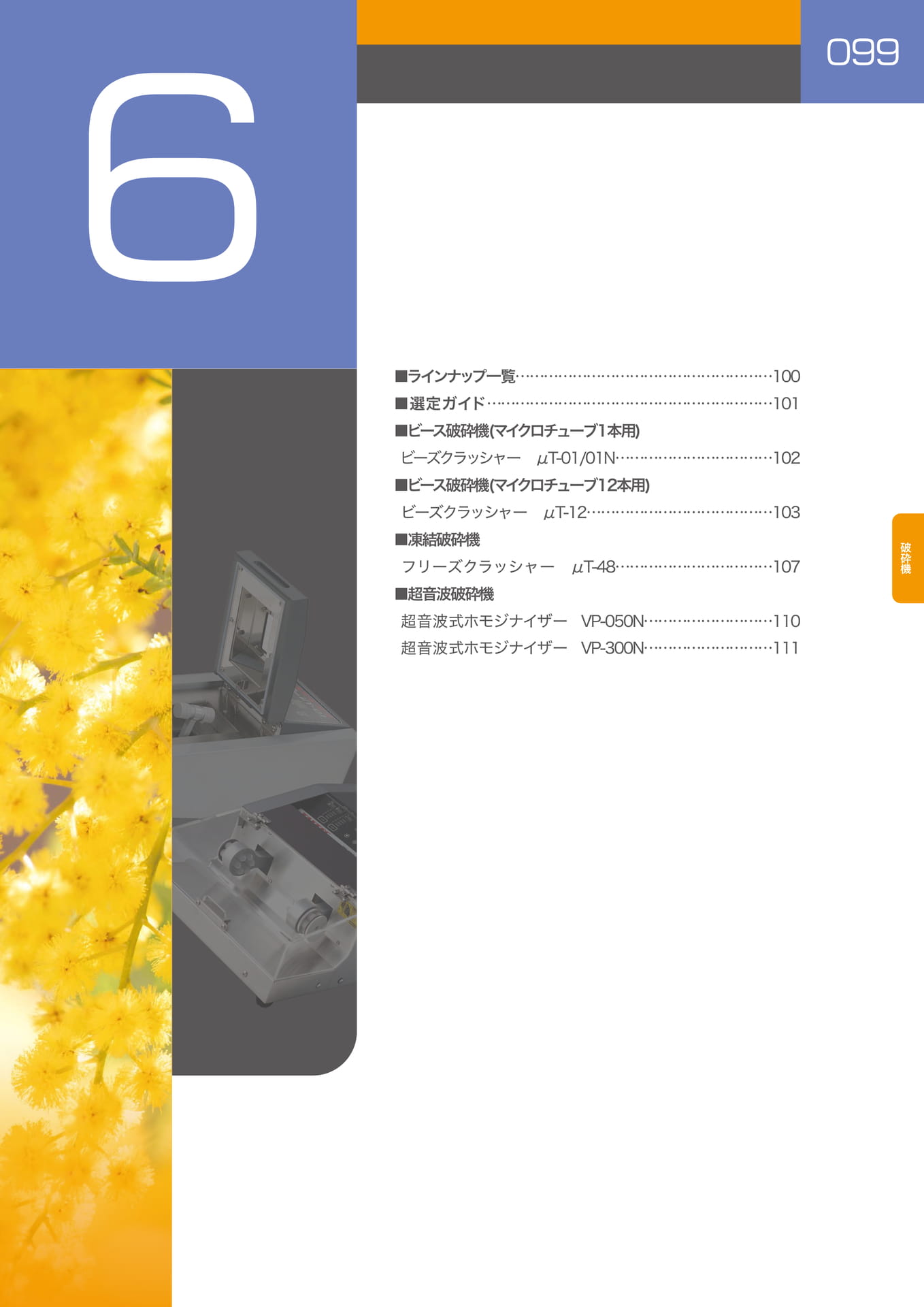 Page 100（100ページ目）