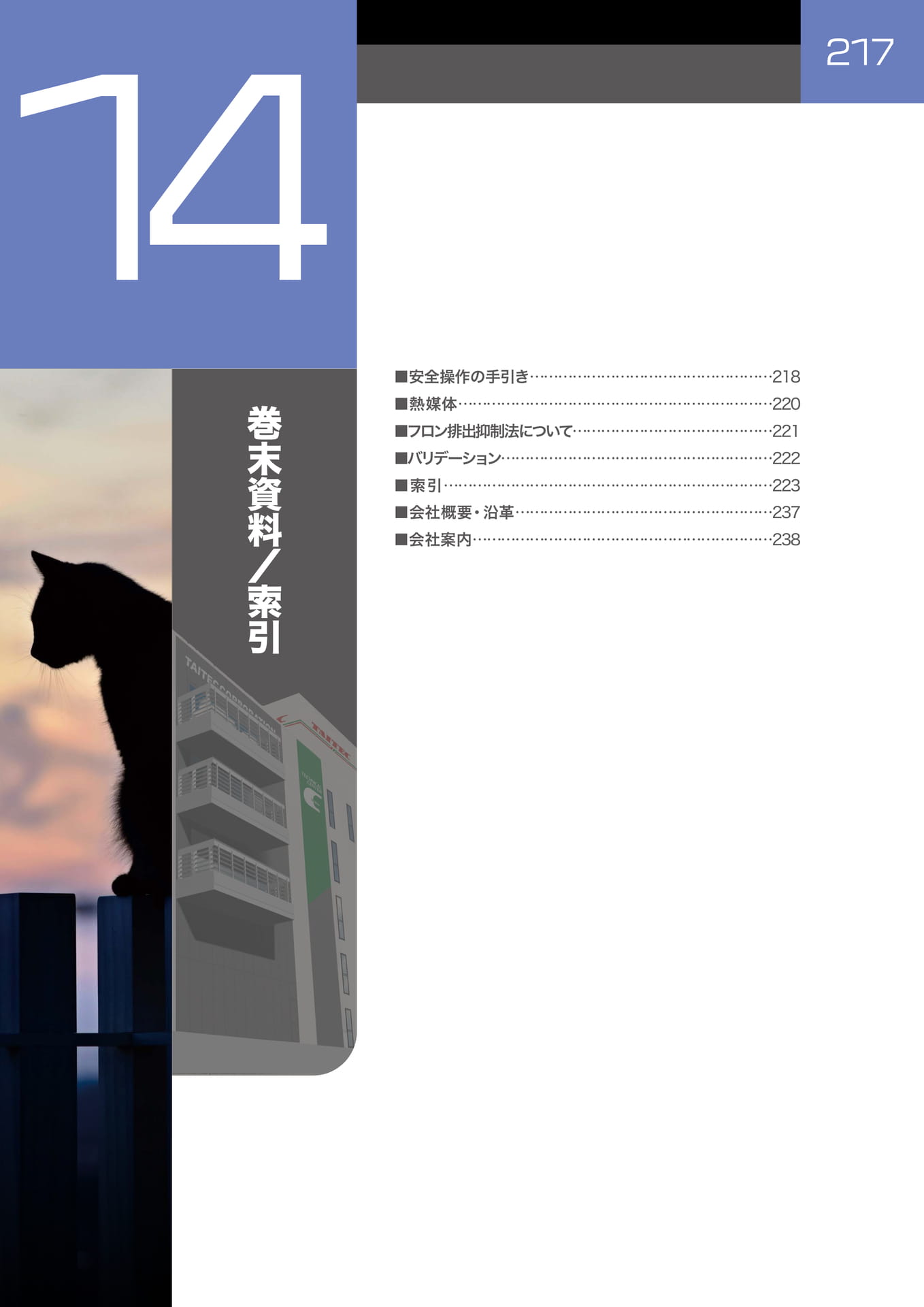 Page 218（218ページ目）