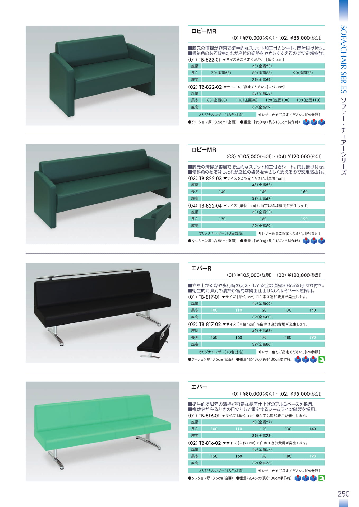 Page 251(251ページ目)
